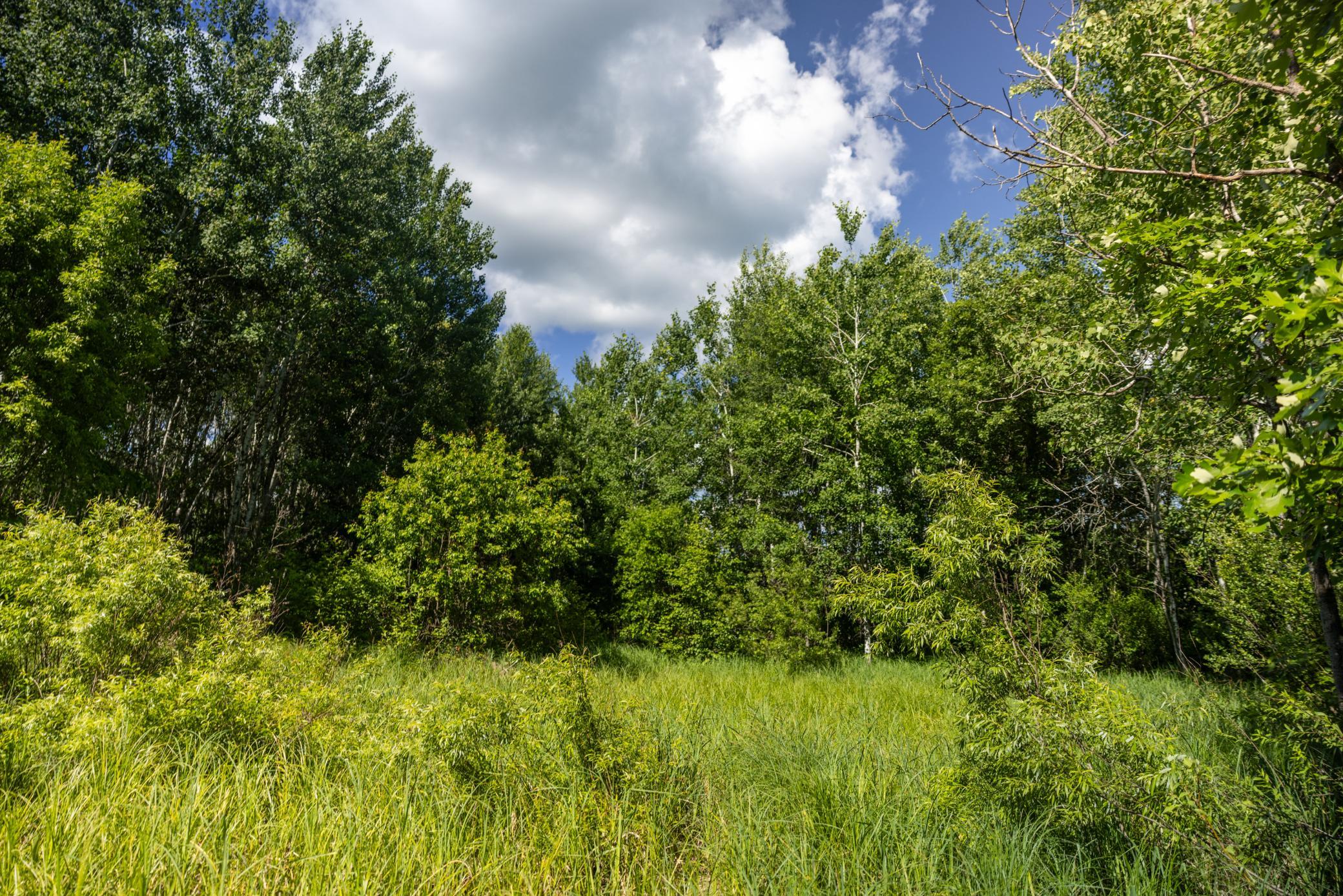 22415 Wilderness Drive Property Photo 65