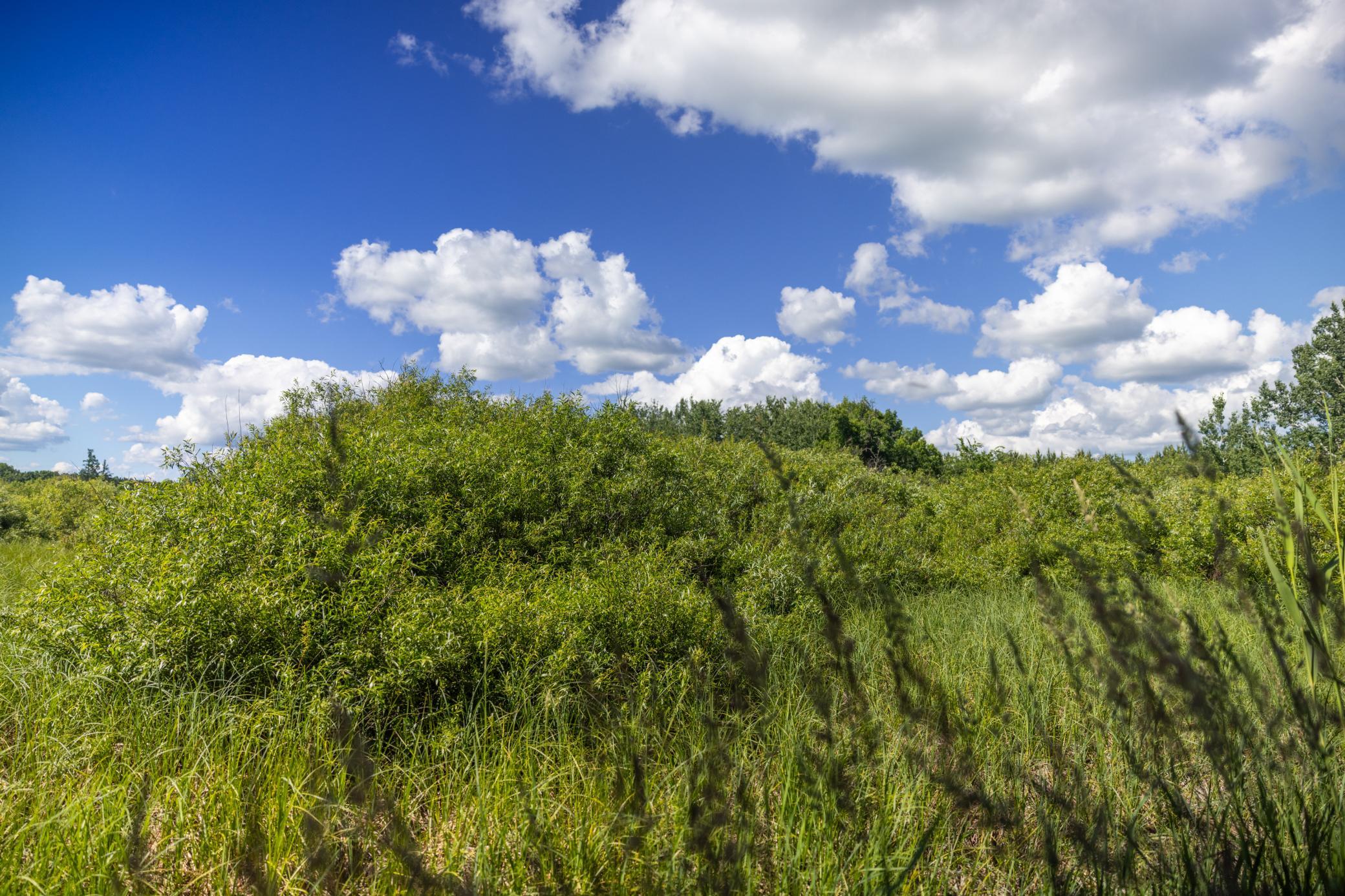 22415 Wilderness Drive Property Photo 66