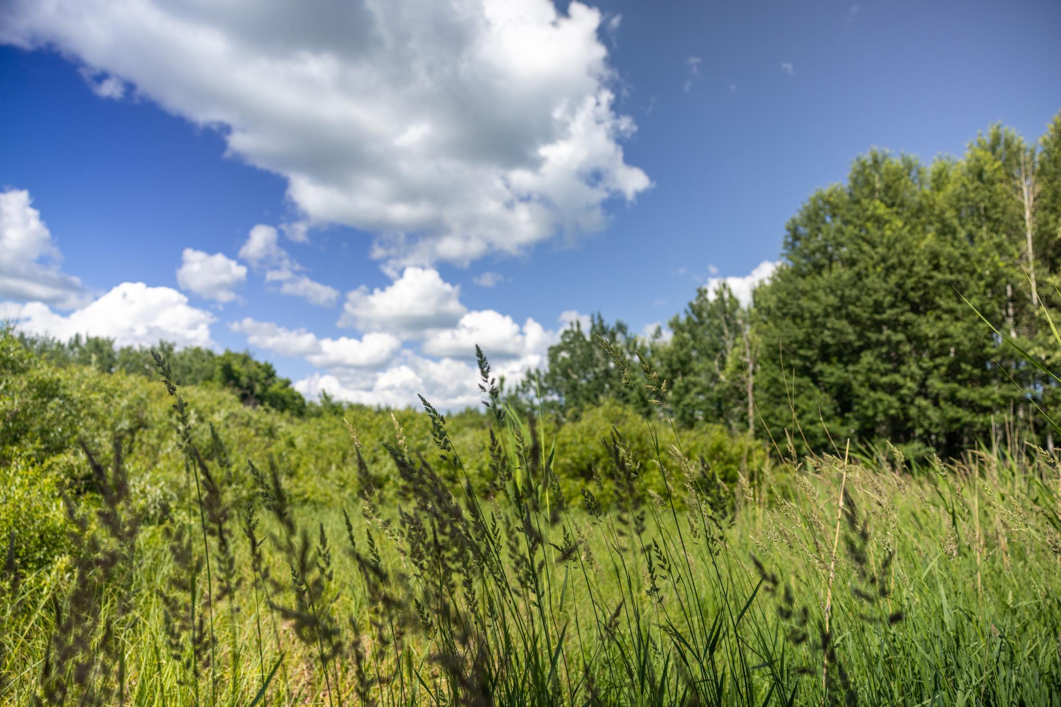 22415 Wilderness Drive Property Photo 67