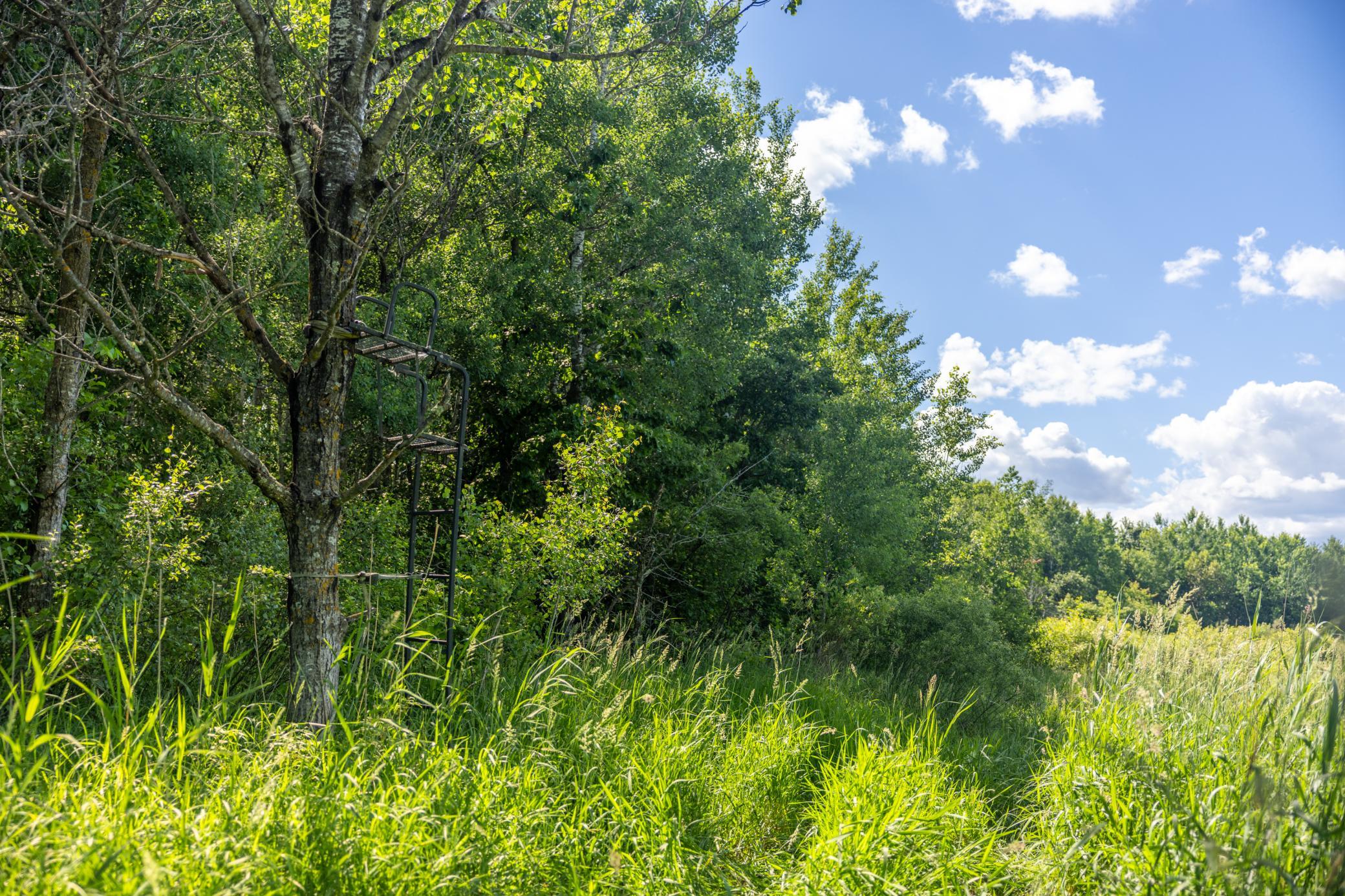22415 Wilderness Drive Property Photo 68
