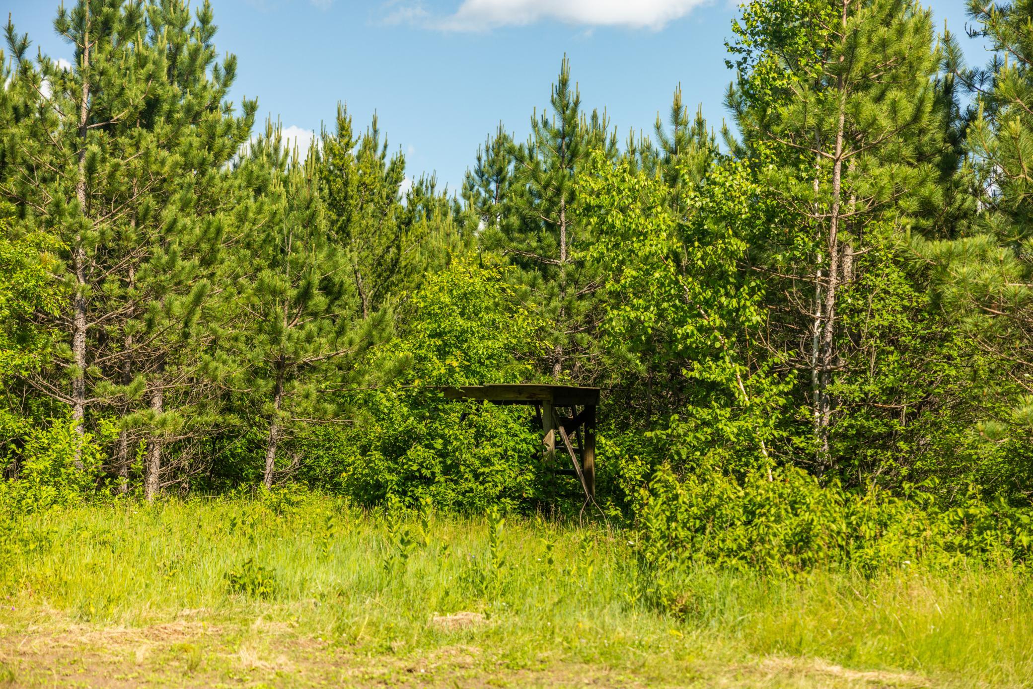 22415 Wilderness Drive Property Photo 71