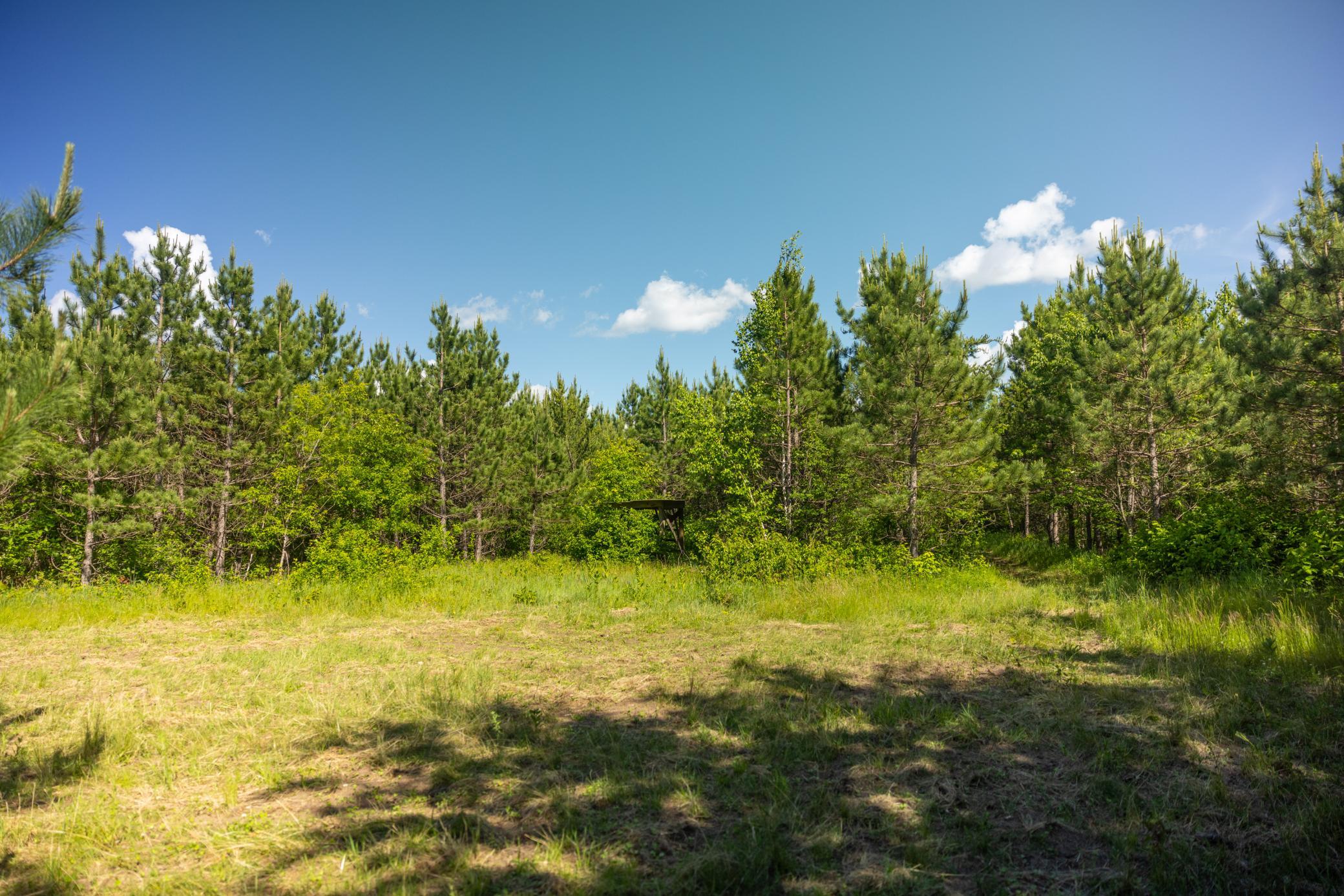22415 Wilderness Drive Property Photo 72