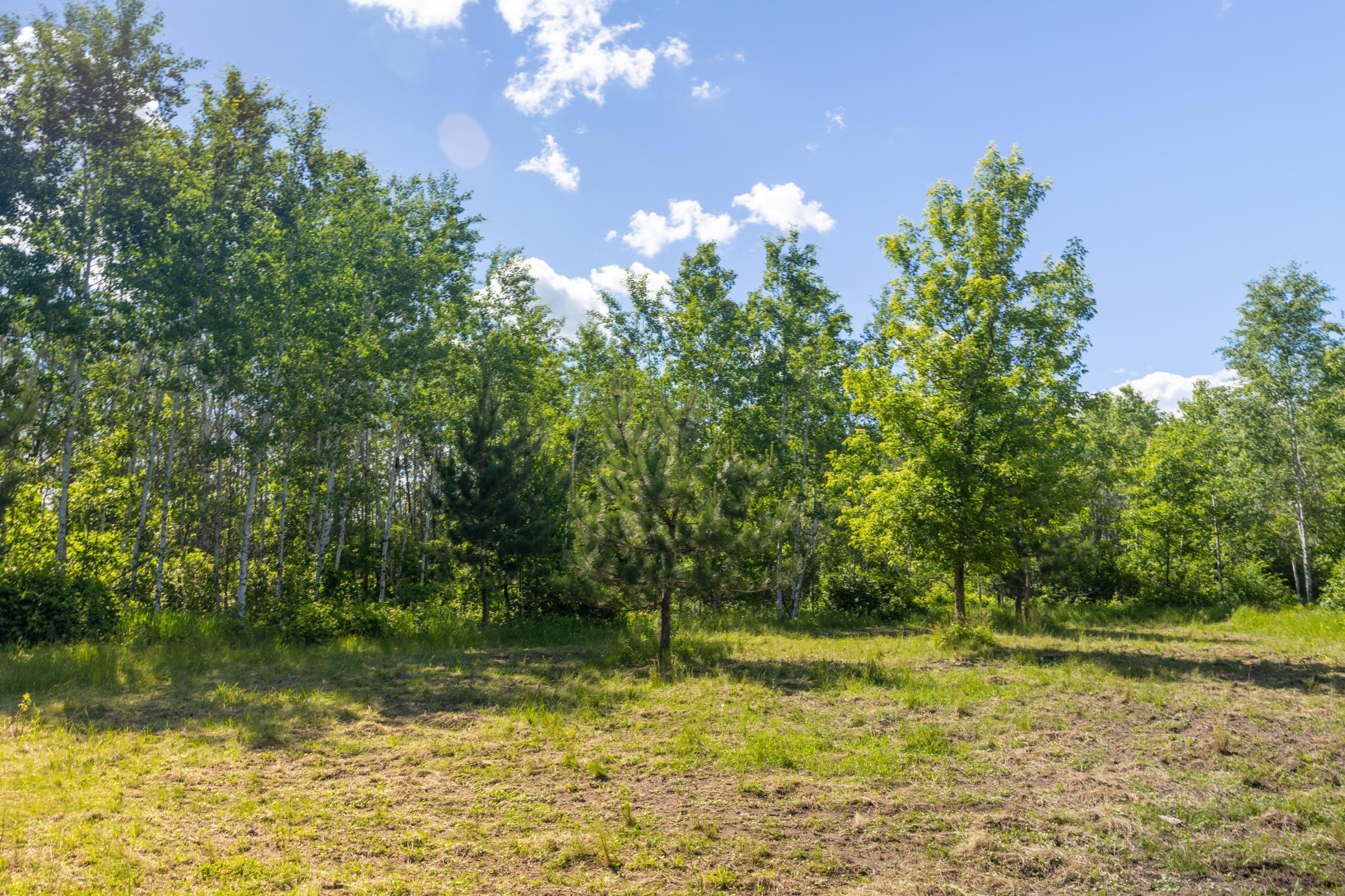 22415 Wilderness Drive Property Photo 73