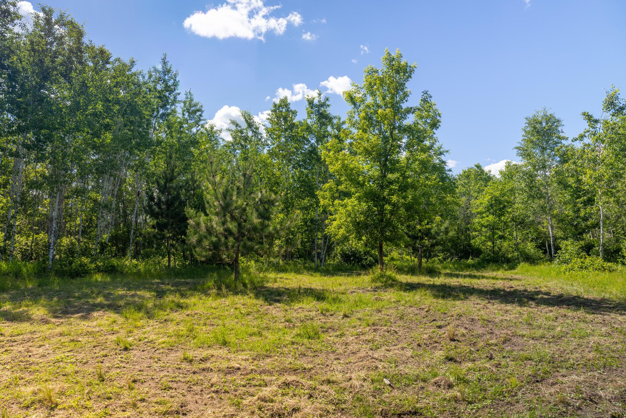22415 Wilderness Drive Property Photo 74
