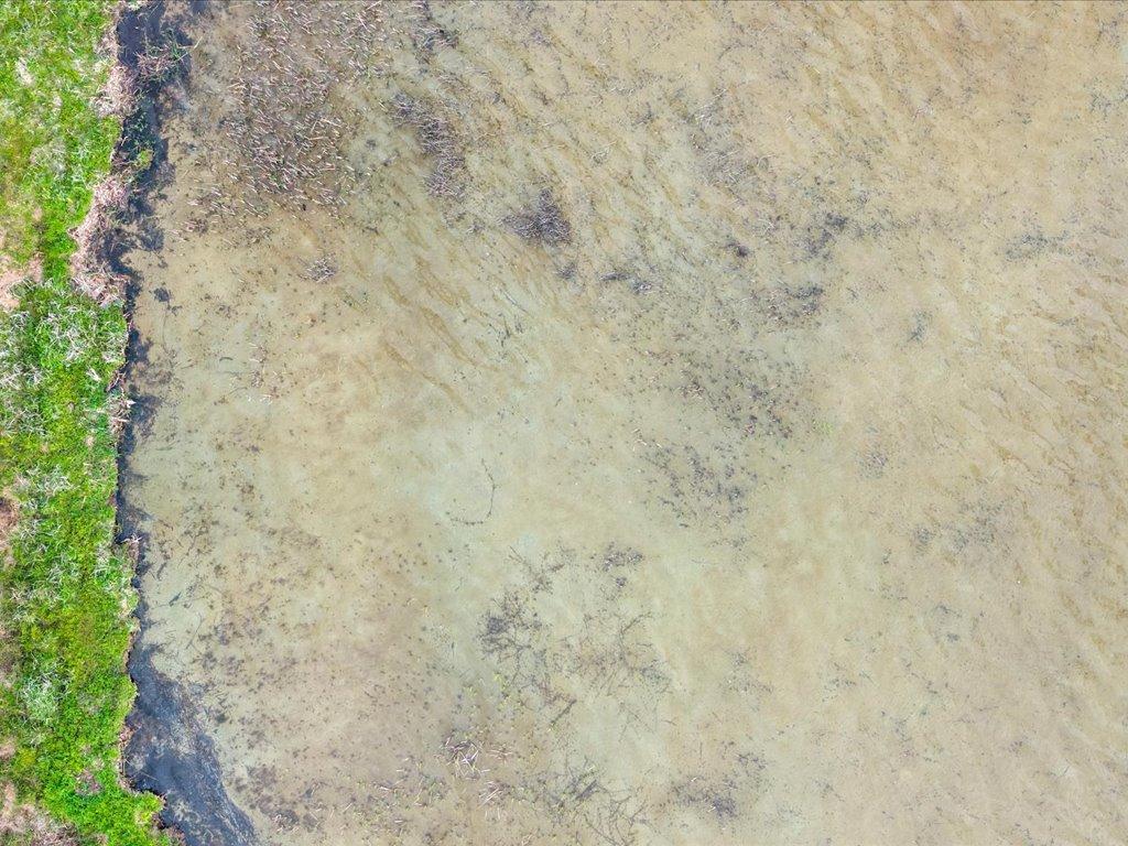 Tbd Mcgowan Road Property Photo 5