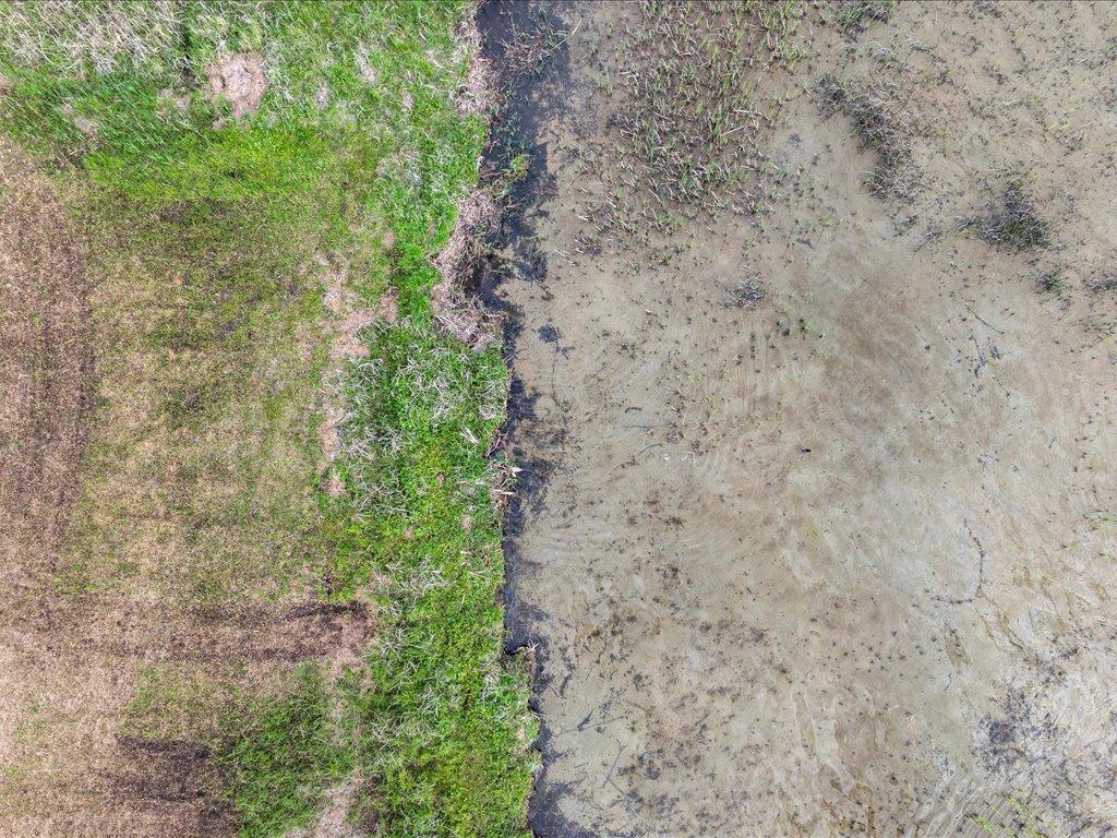 Tbd Mcgowan Road Property Photo 9