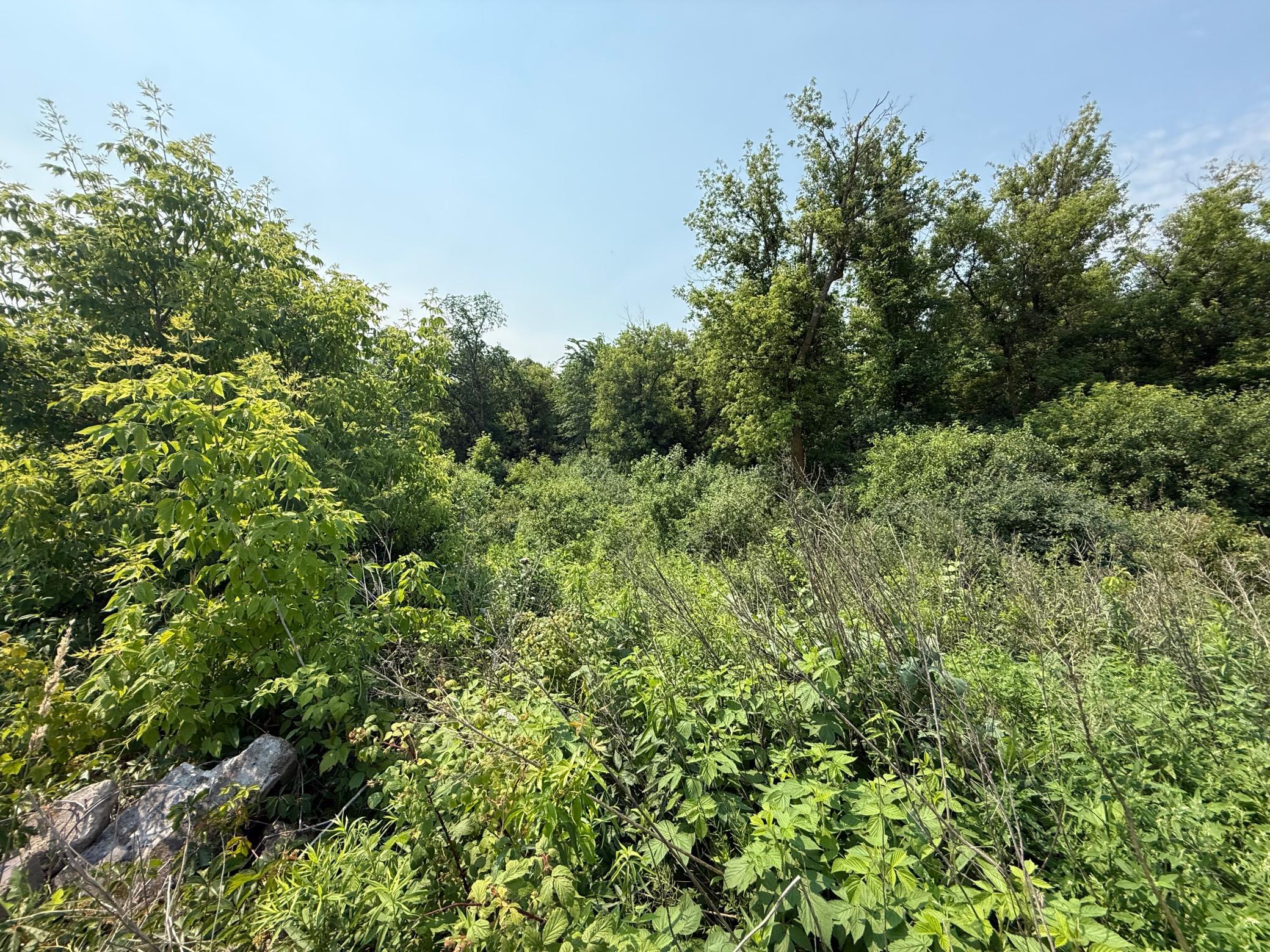 Tbd Us Hwy 8 Property Photo 9