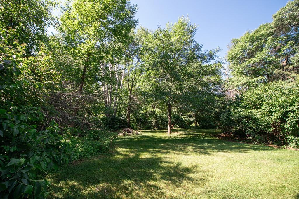 29756 Red Pine Drive Property Photo 6