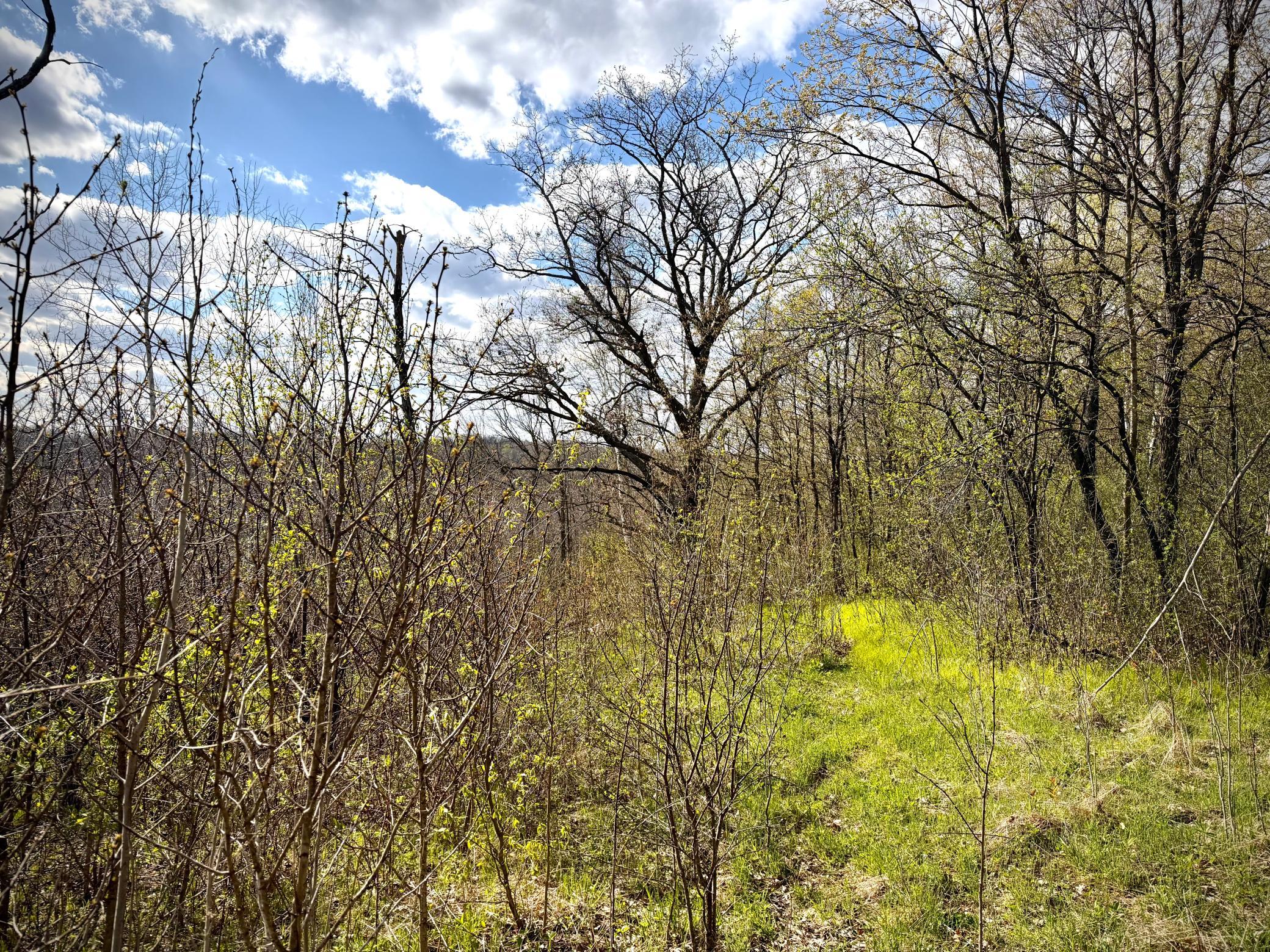 Tbd County Line Avenue Property Photo 1