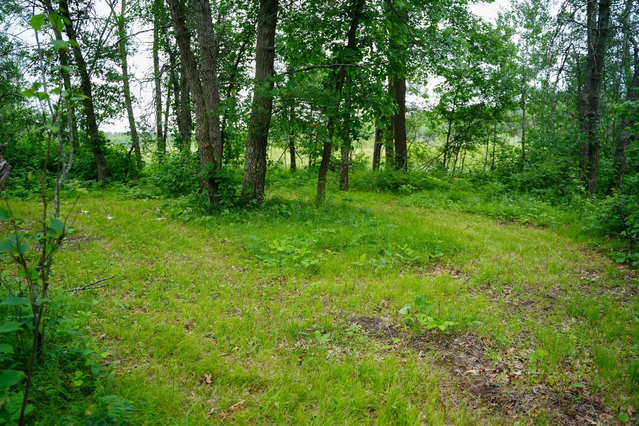 25820 County Road 26 Property Photo 24