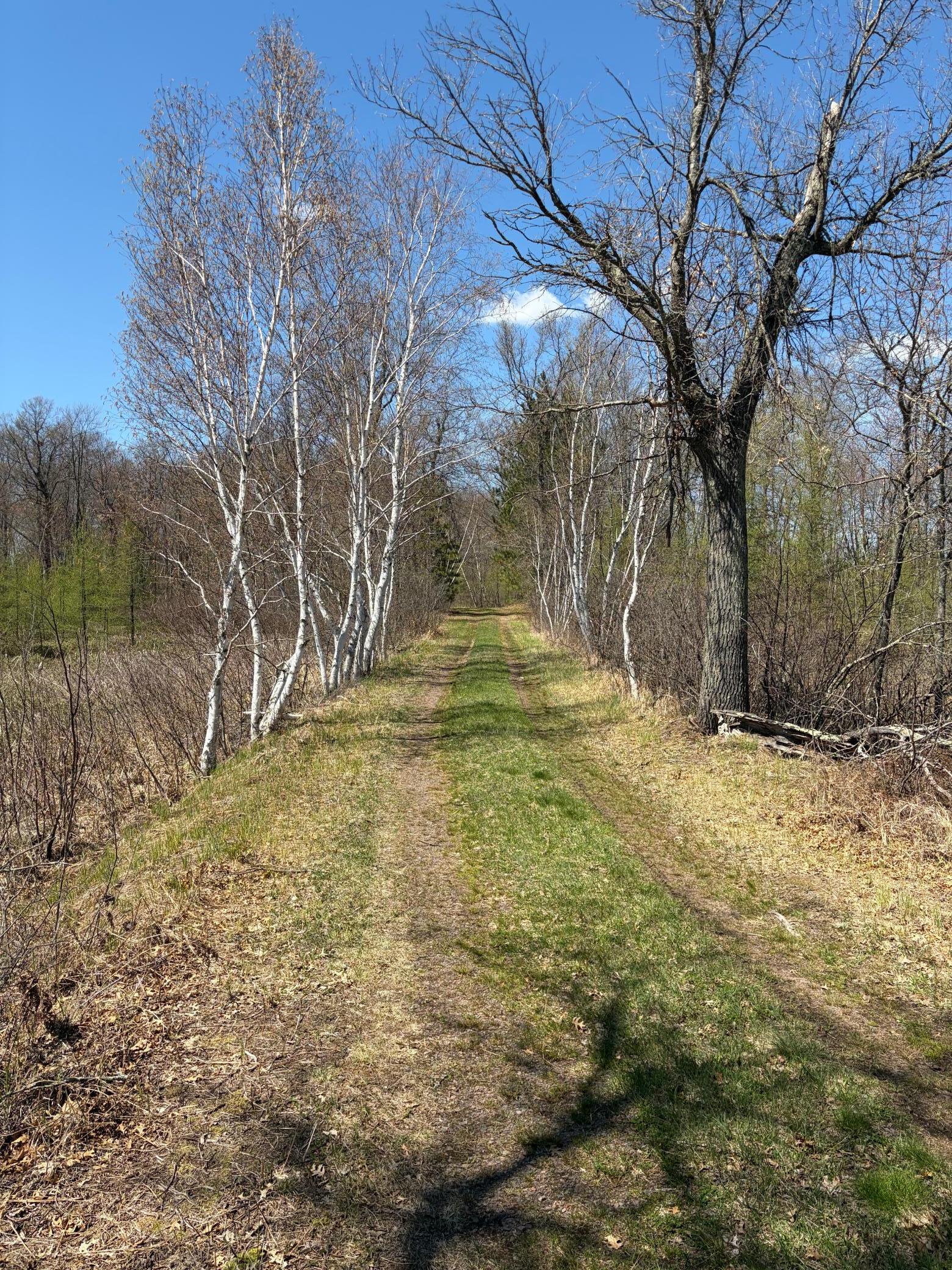 Tbd Cc Mann Road Property Photo 6