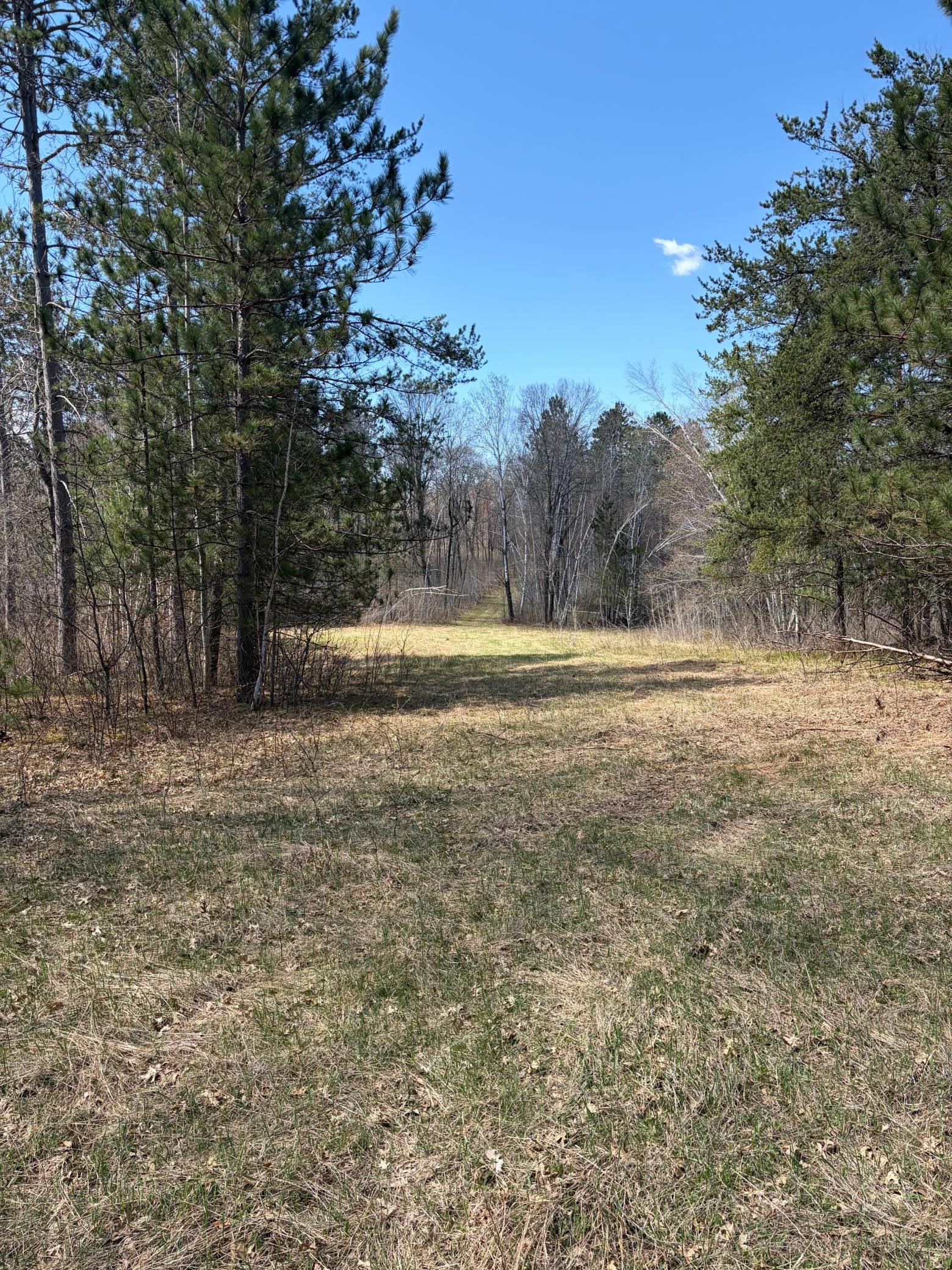 Tbd Cc Mann Road Property Photo 7