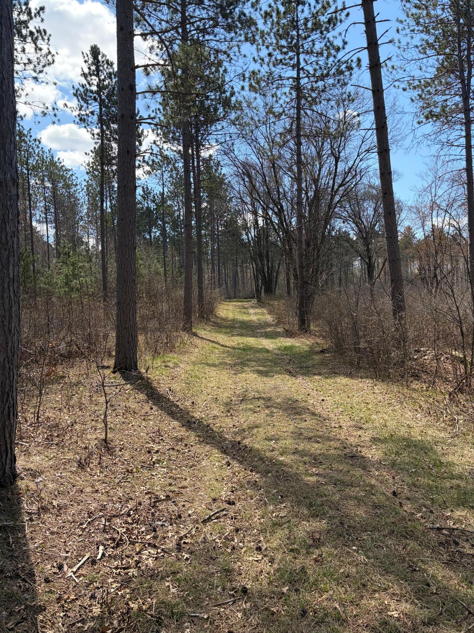 Tbd Cc Mann Road Property Photo 8