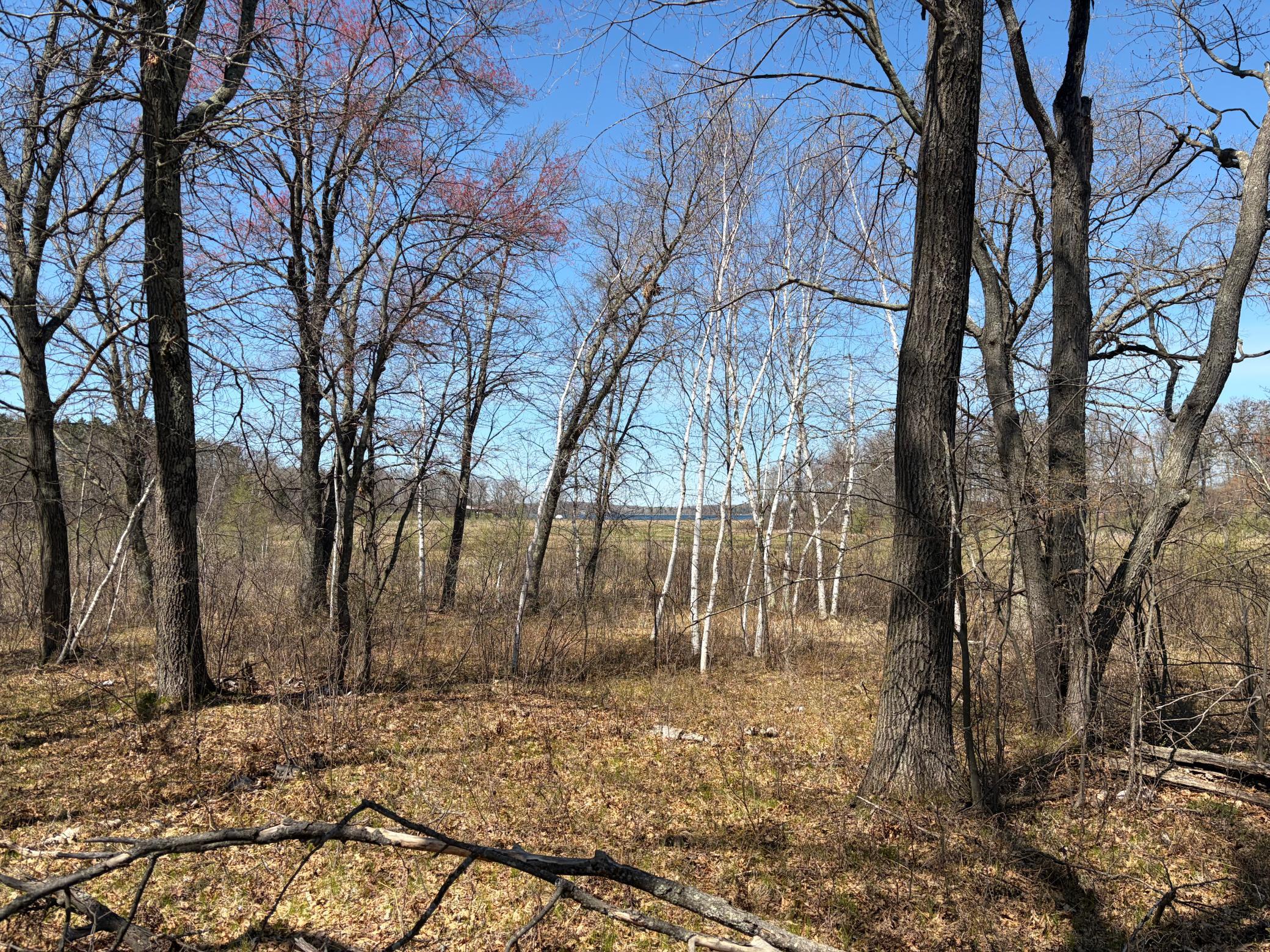 Tbd Cc Mann Road Property Photo 13