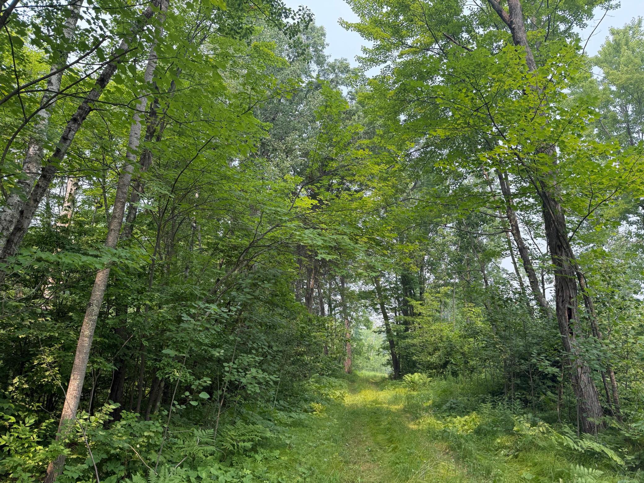 N5813 Mann Road Property Photo 5