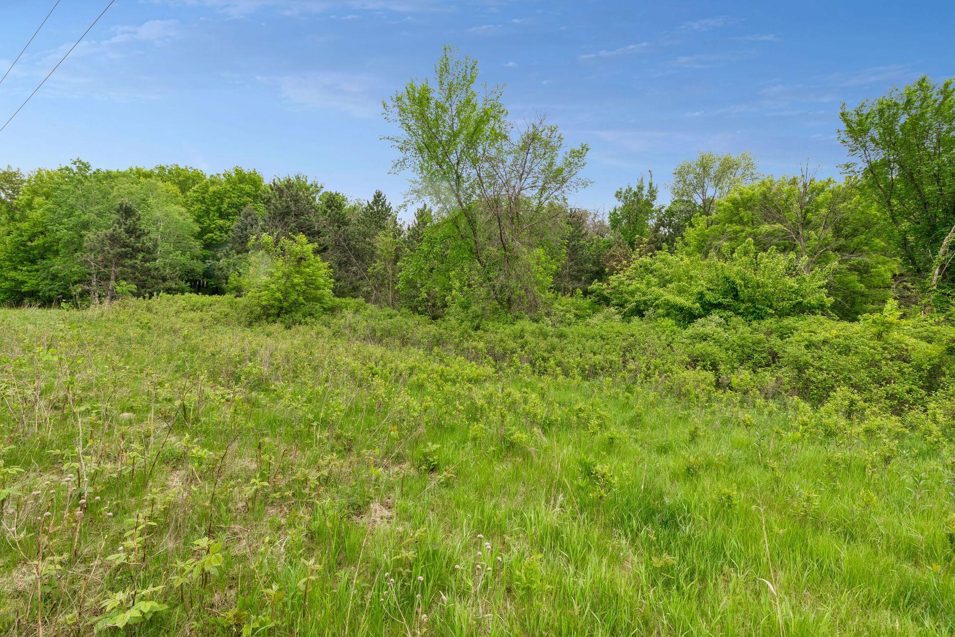 10 Sunny Side Ln Property Photo 58