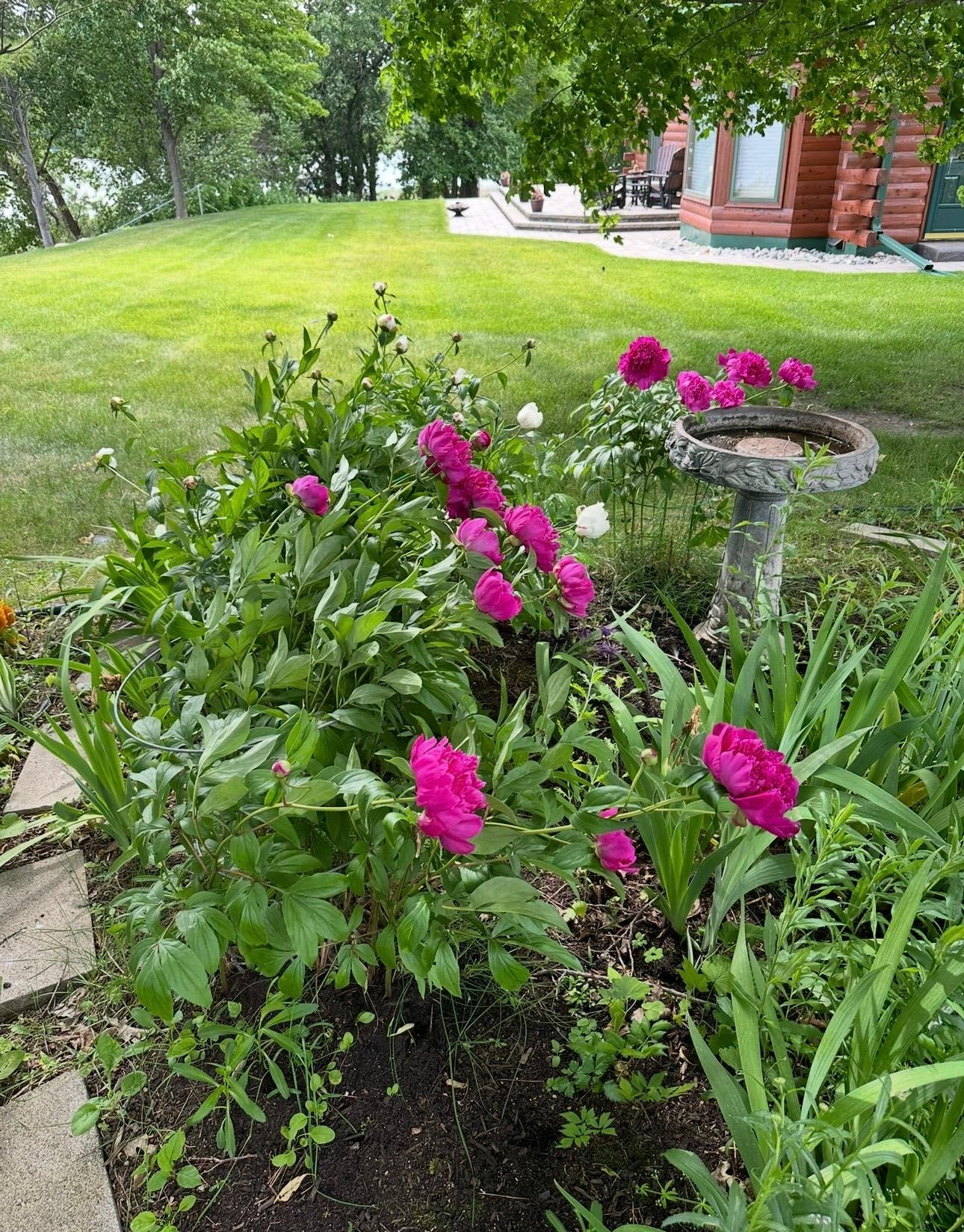 23716 Stony Bar Circle Property Photo 90