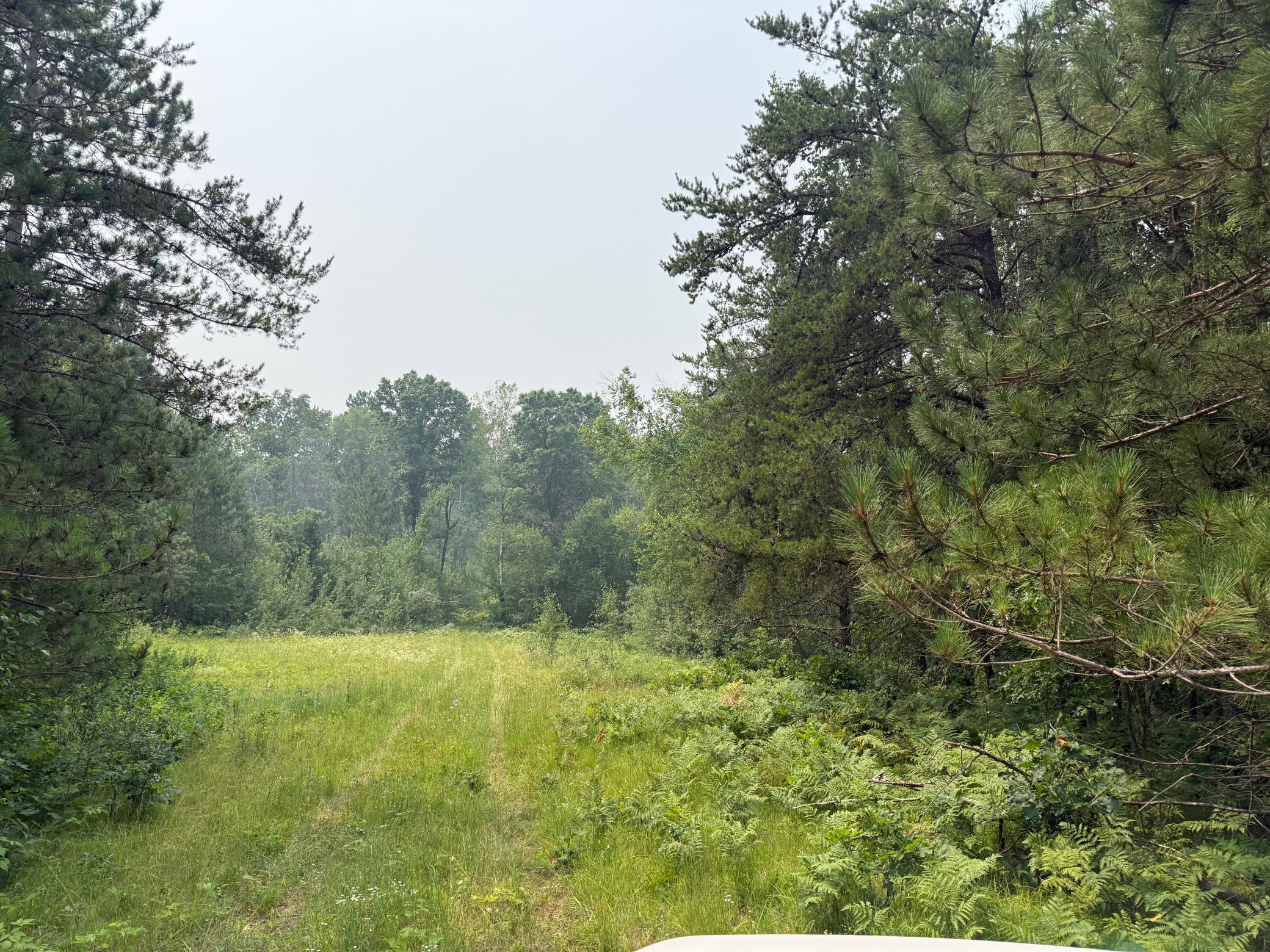 Tbd Bb Mann Road Property Photo 5