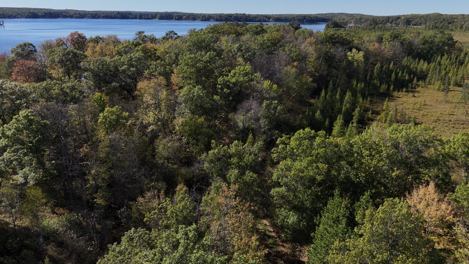 Tbd Bb Mann Road Property Photo 8