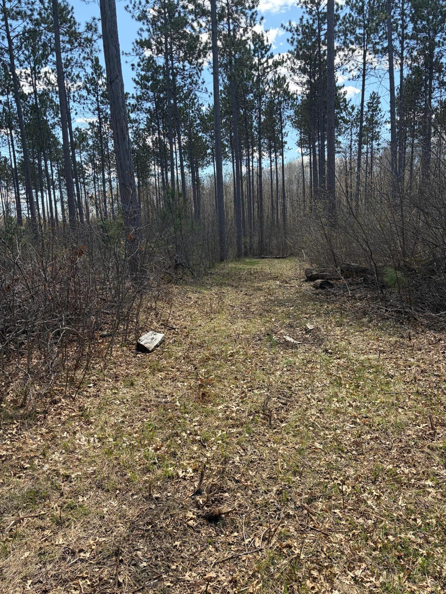 Tbd Bb Mann Road Property Photo 13