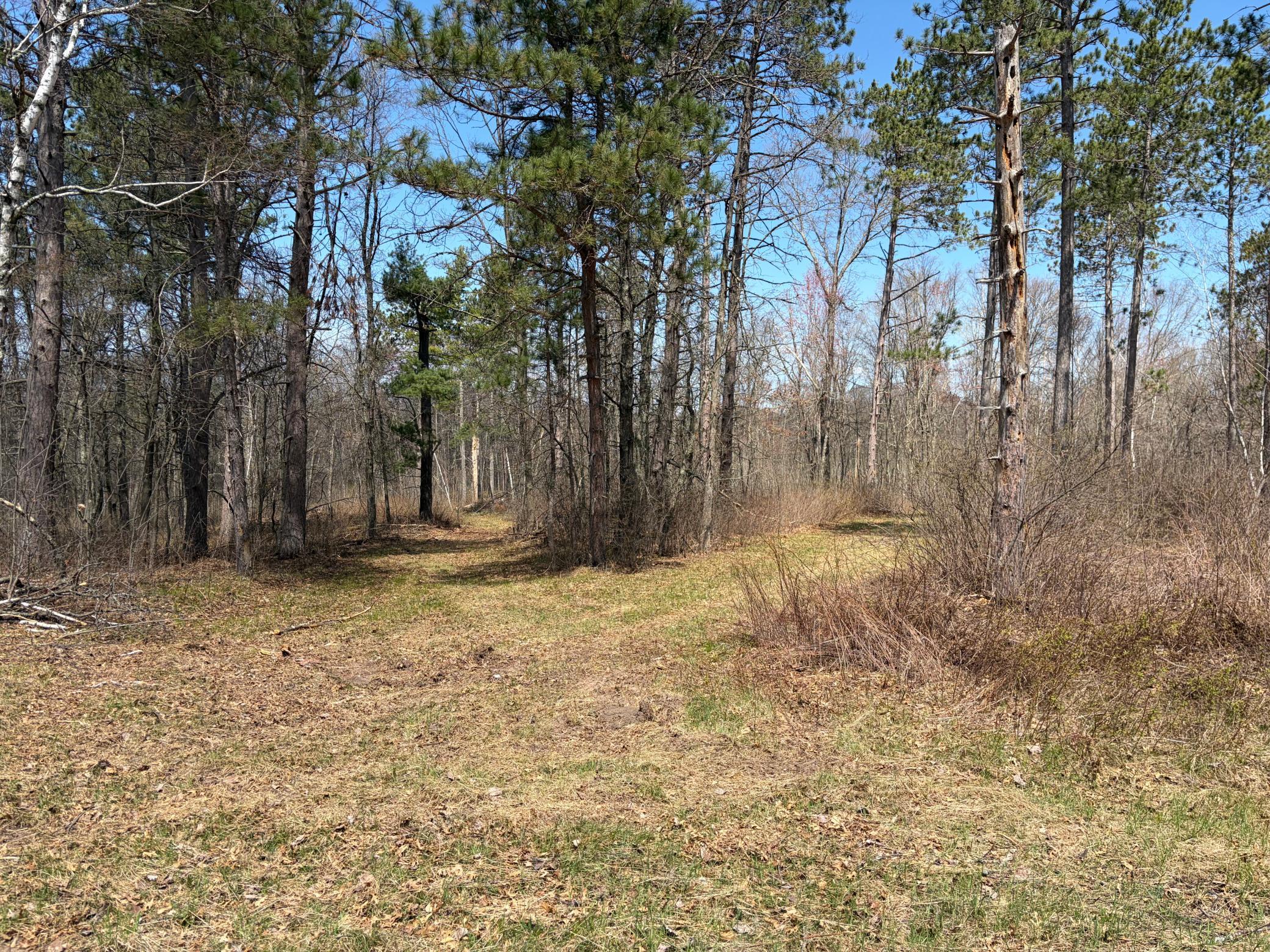 Tbd Bb Mann Road Property Photo 14