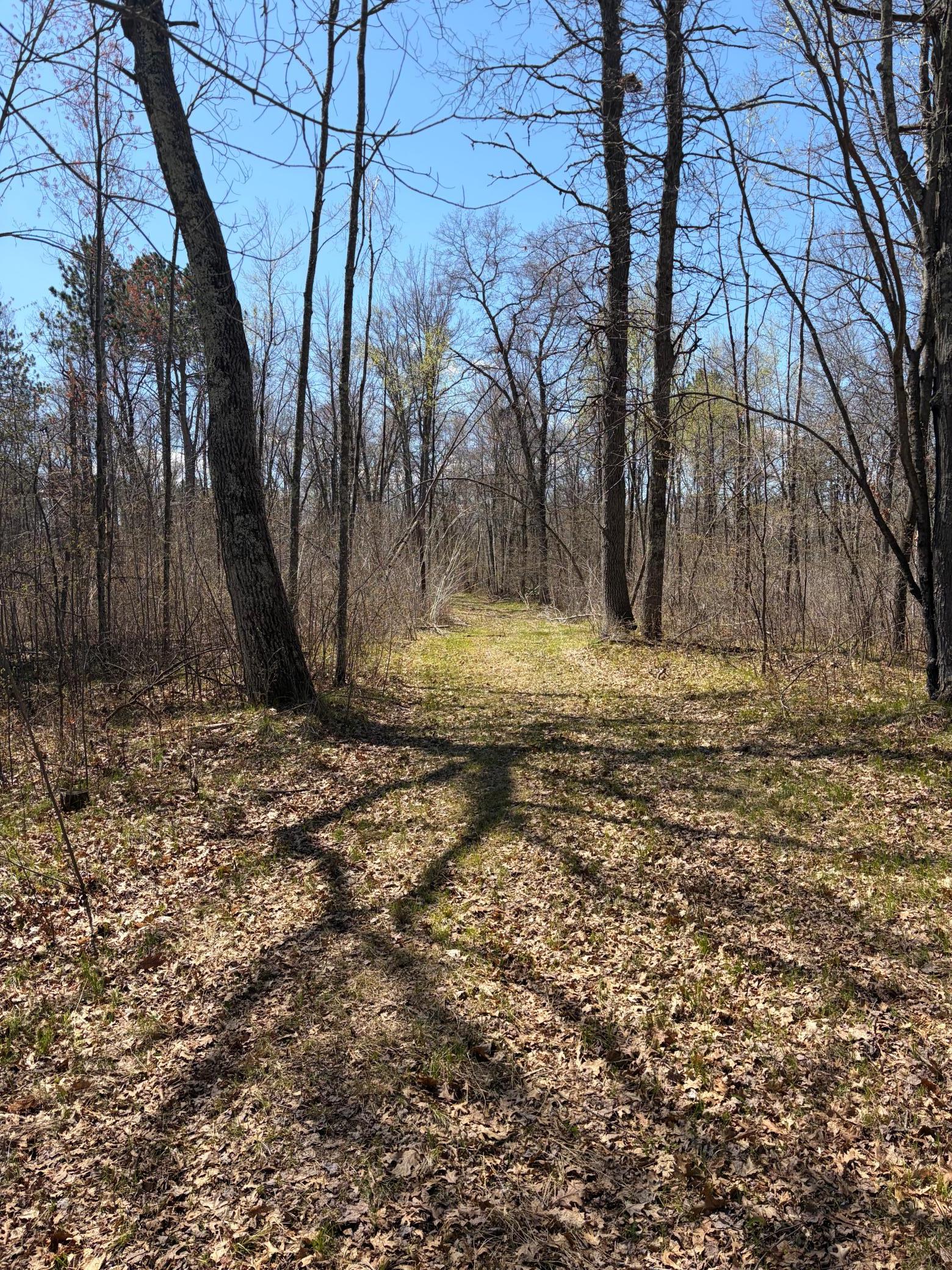 Tbd Bb Mann Road Property Photo 17