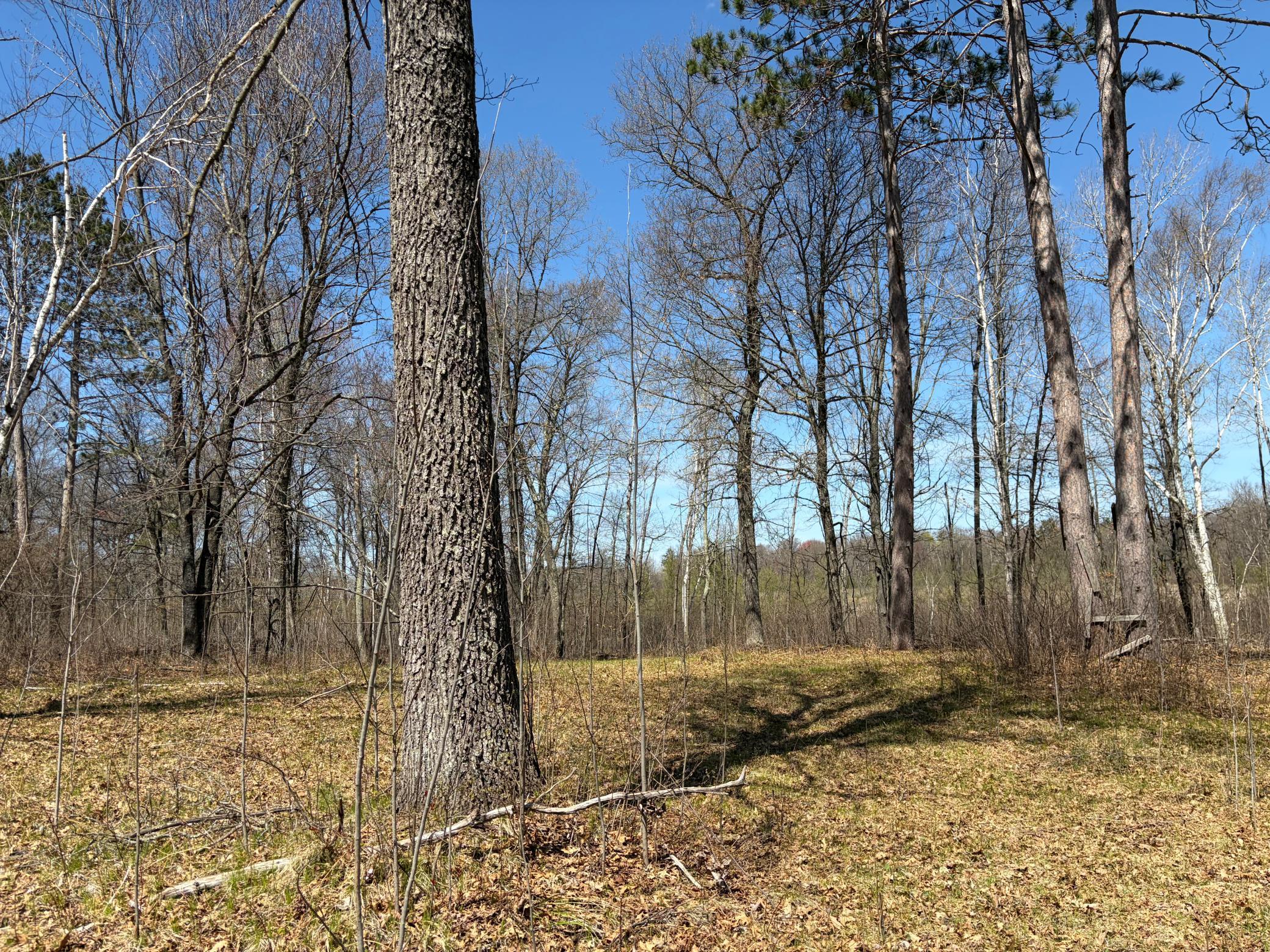 Tbd Bb Mann Road Property Photo 18