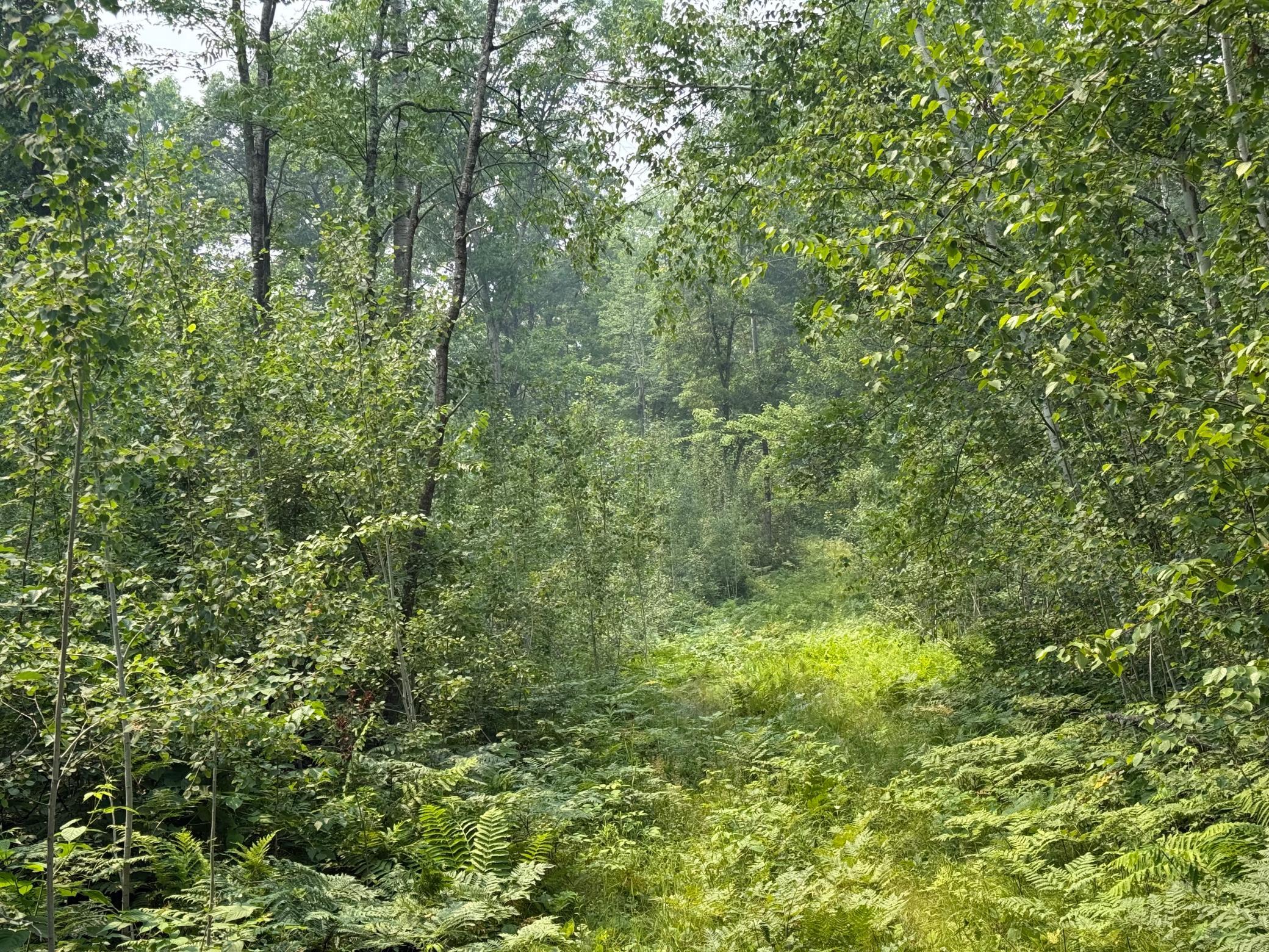 Tbd Bb Mann Road Property Photo 19