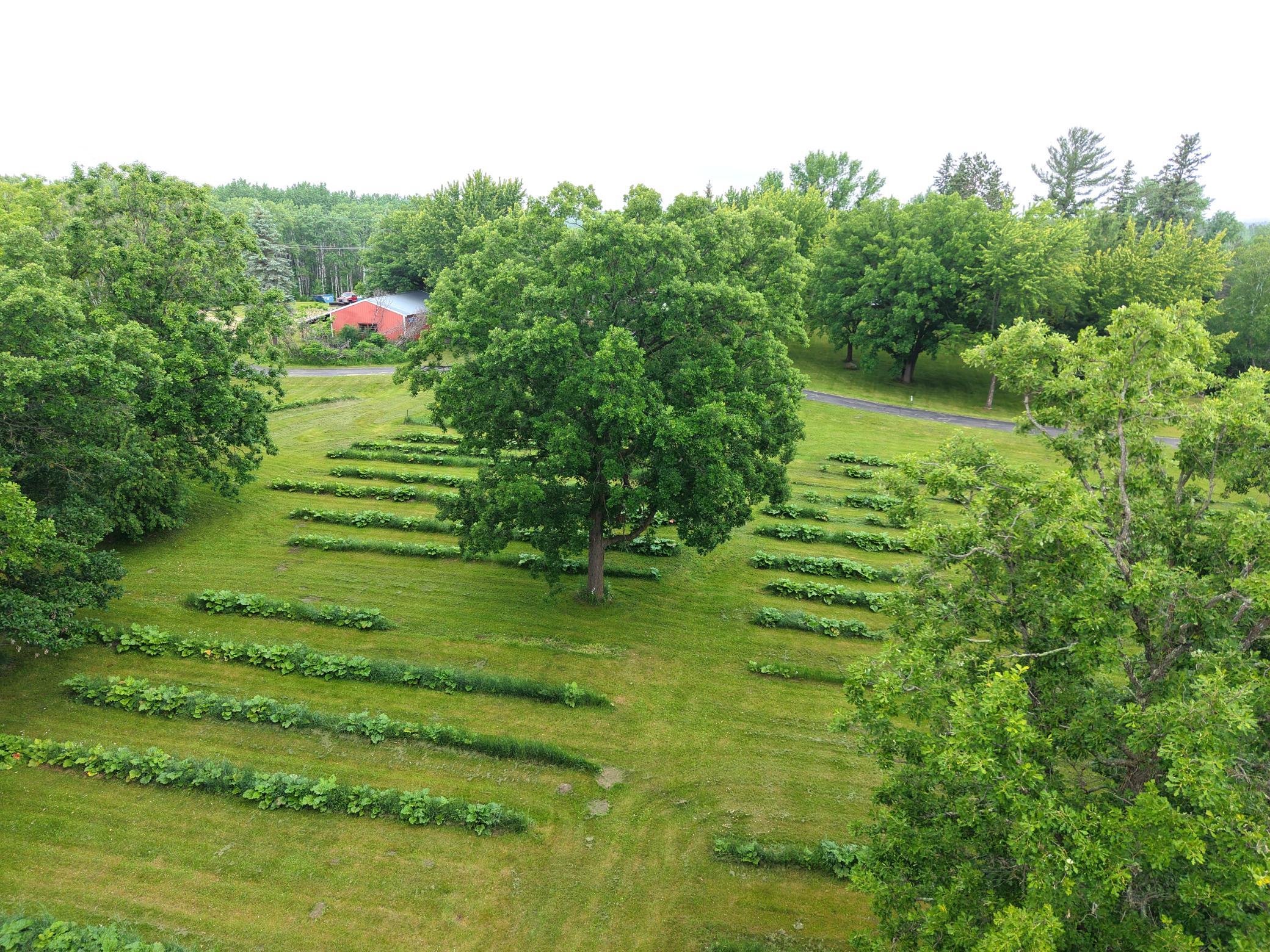 35295 State 64 Property Photo 61
