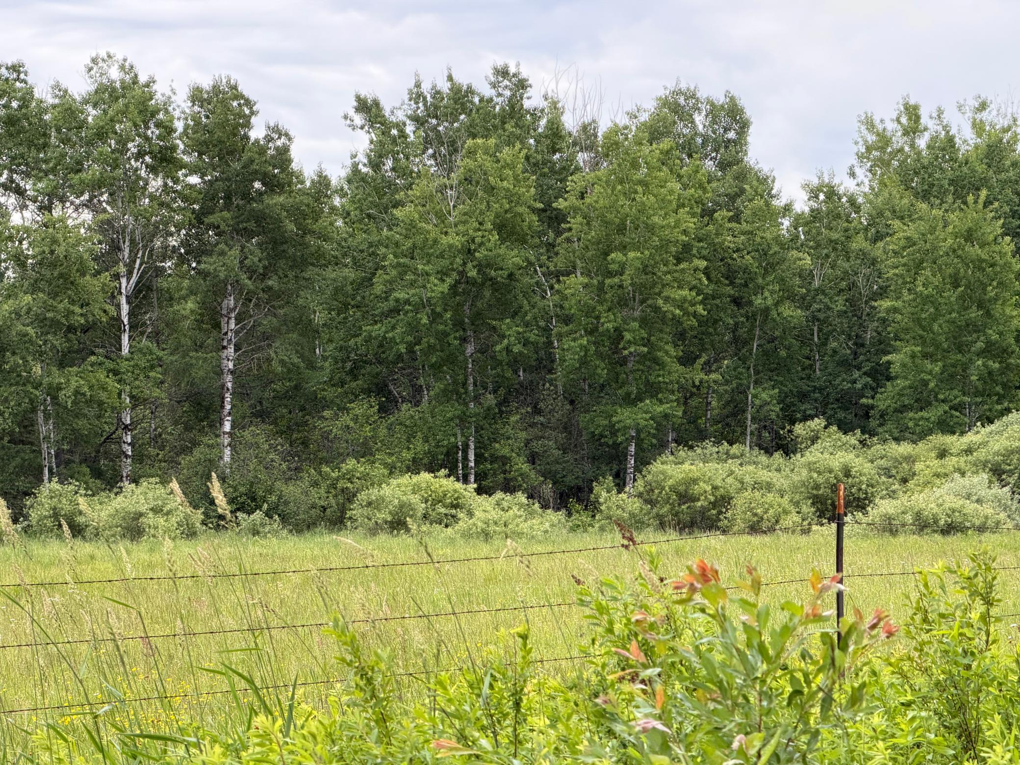 Tbd Highway 65 Property Photo 1
