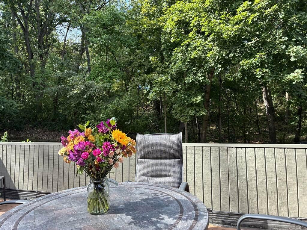 58 Walden Street Property Photo 15