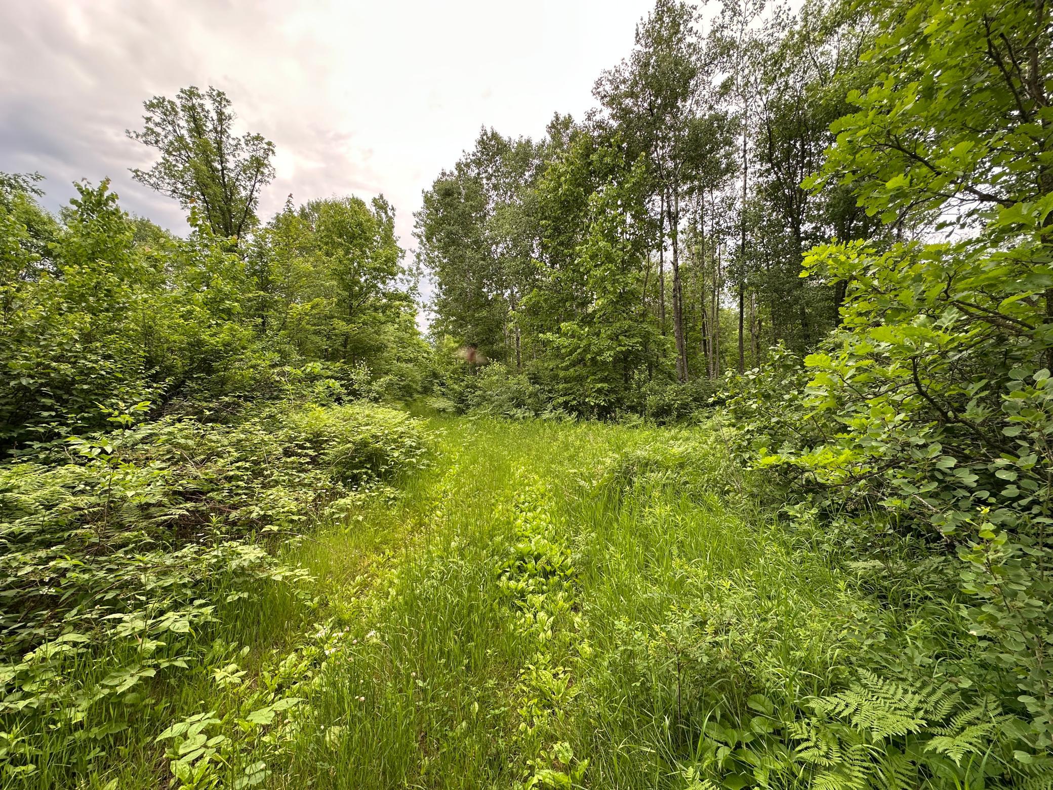 Tbd 269th Avenue Property Photo 10
