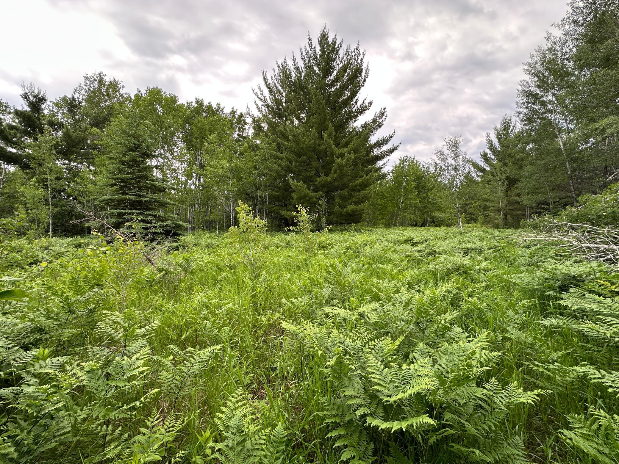 Tbd 269th Avenue Property Photo 12
