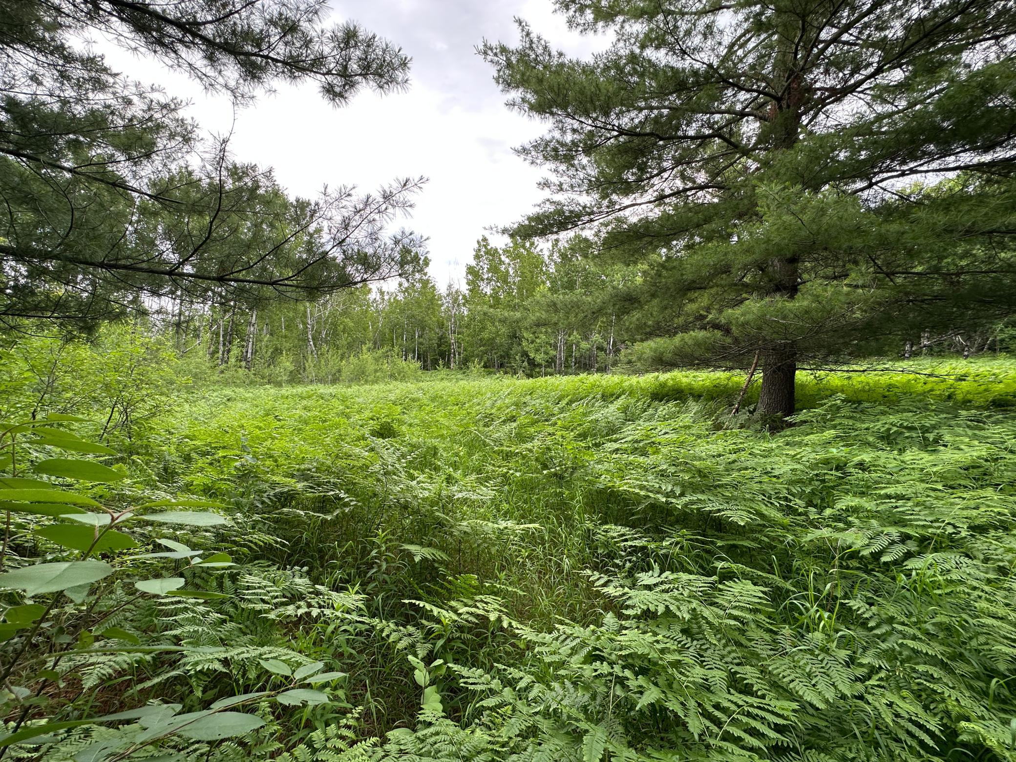 Tbd 269th Avenue Property Photo 15