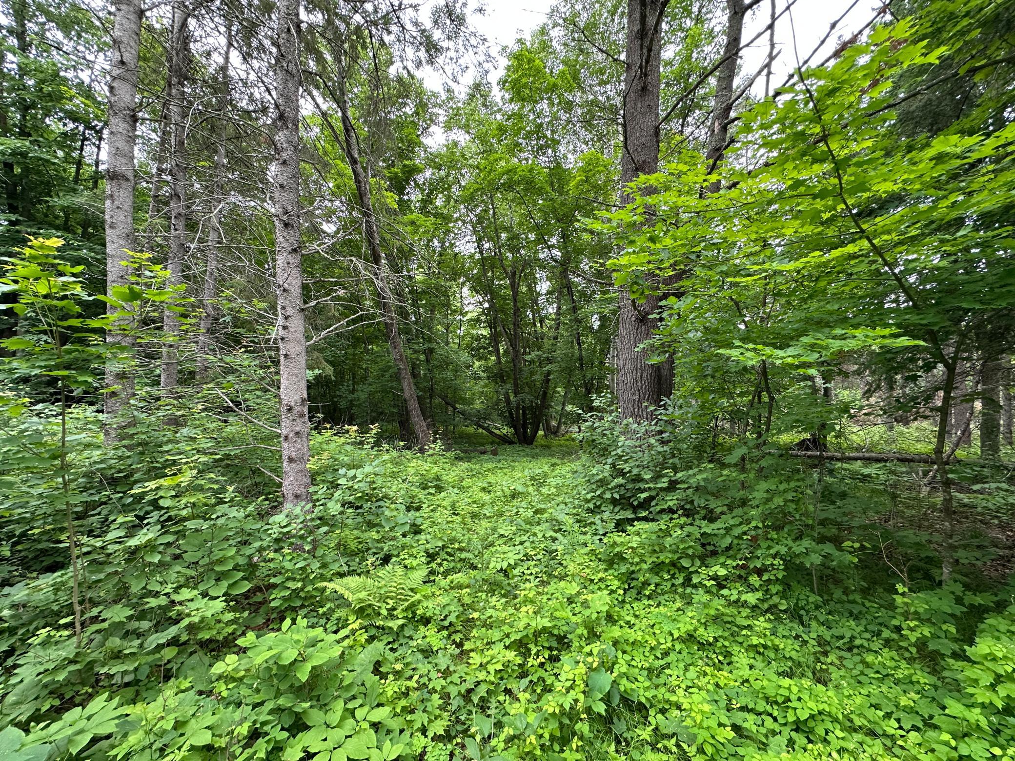 Tbd 269th Avenue Property Photo 18