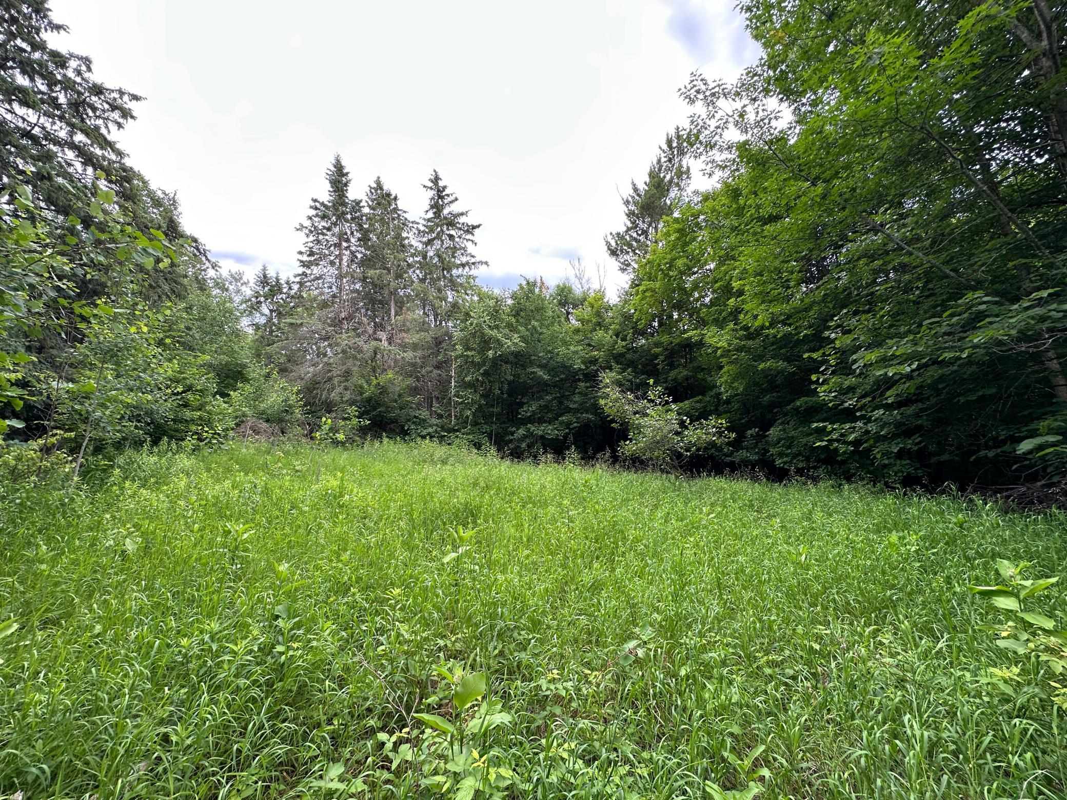 Tbd 269th Avenue Property Photo 19