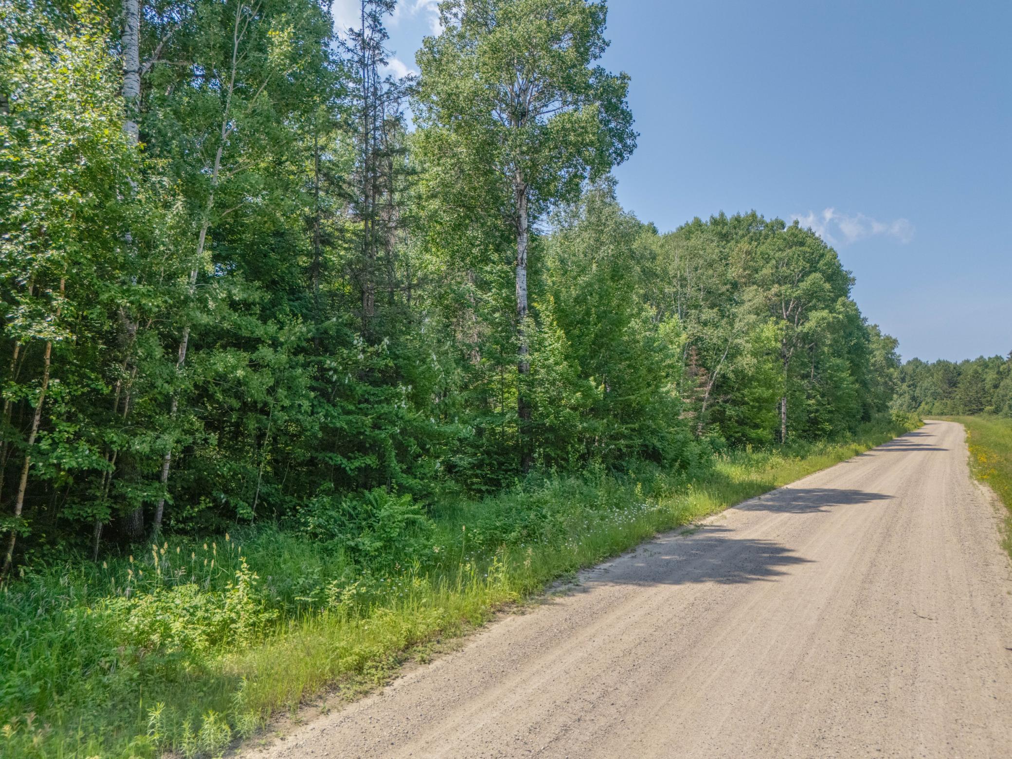 Tbd County Road 308 Property Photo 2