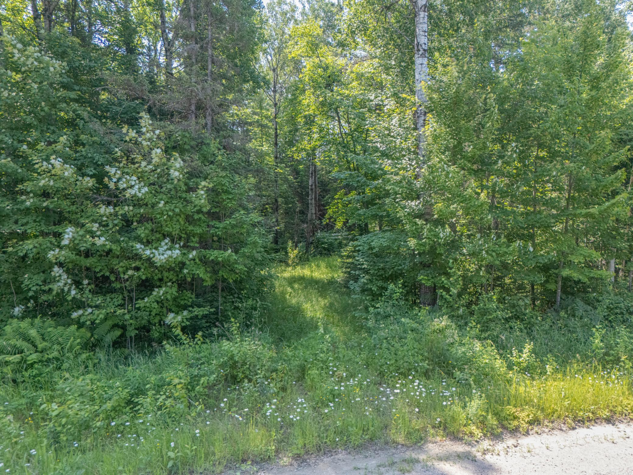 Tbd County Road 308 Property Photo 3