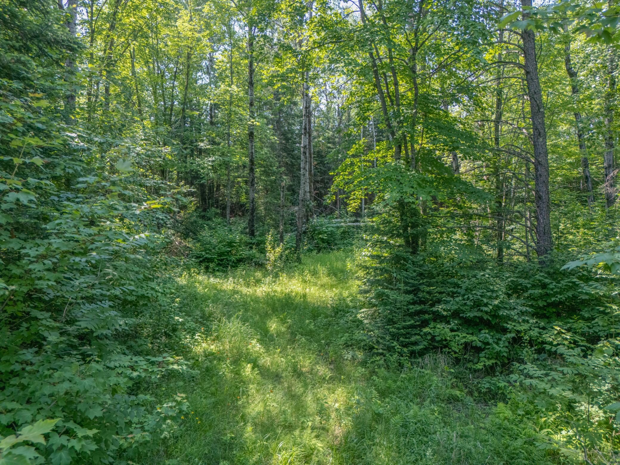 Tbd County Road 308 Property Photo 4