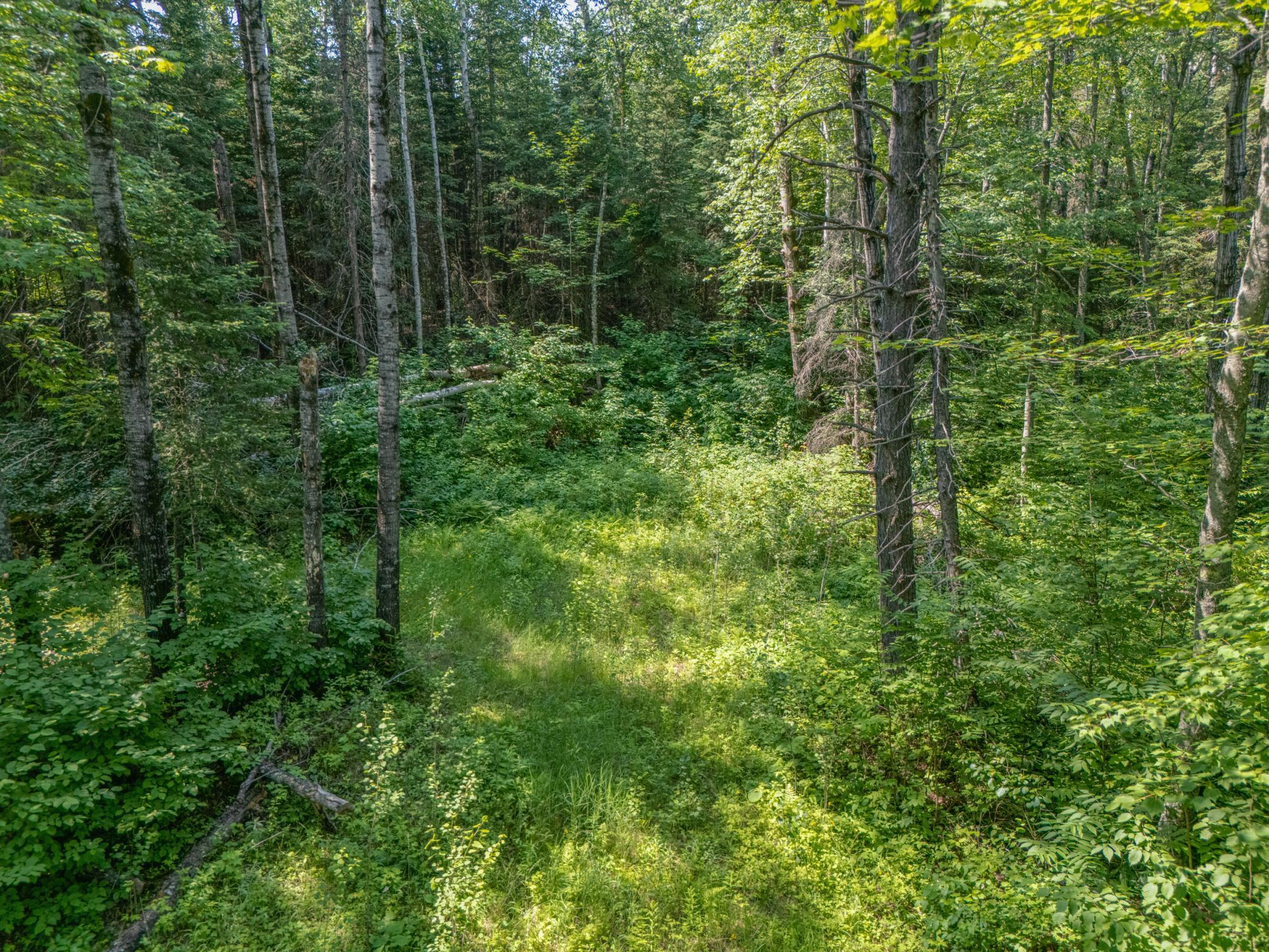 Tbd County Road 308 Property Photo 5