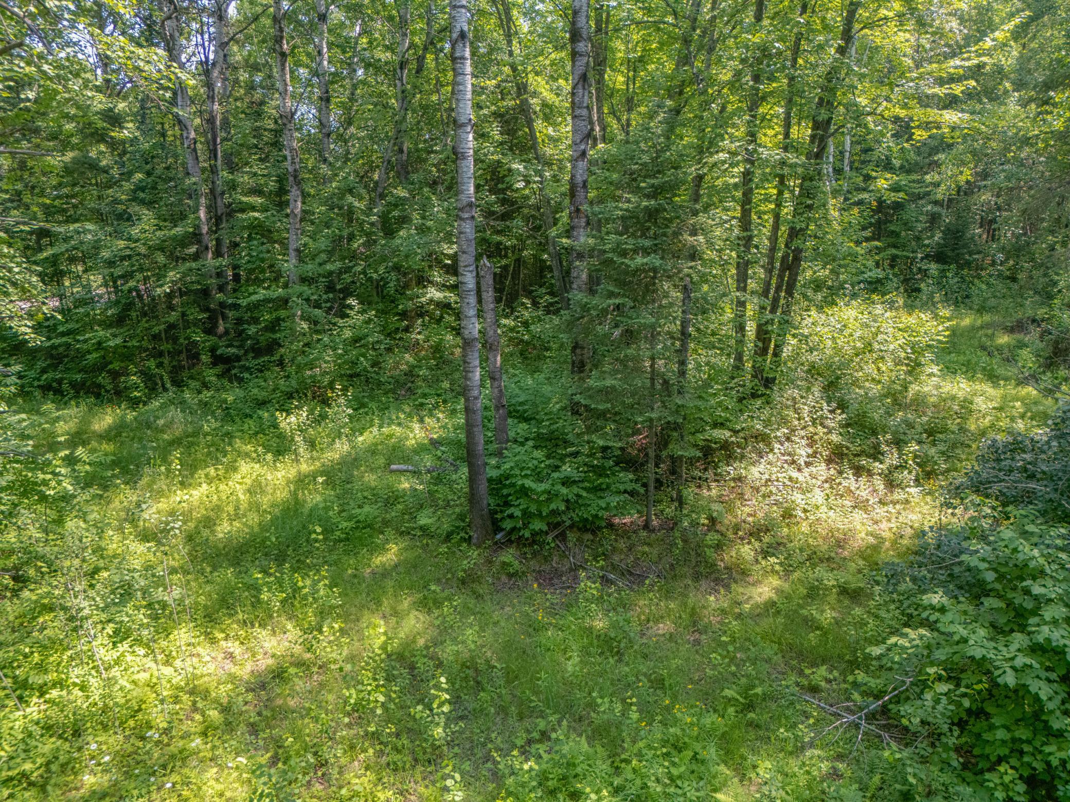 Tbd County Road 308 Property Photo 6