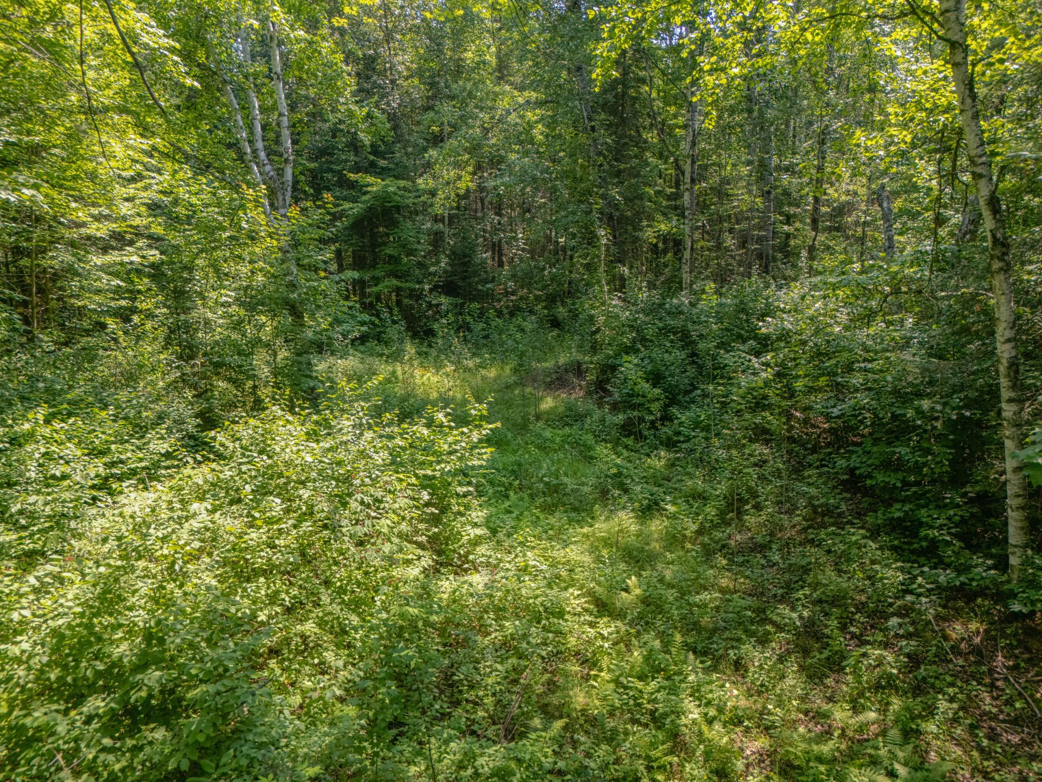 Tbd County Road 308 Property Photo 7
