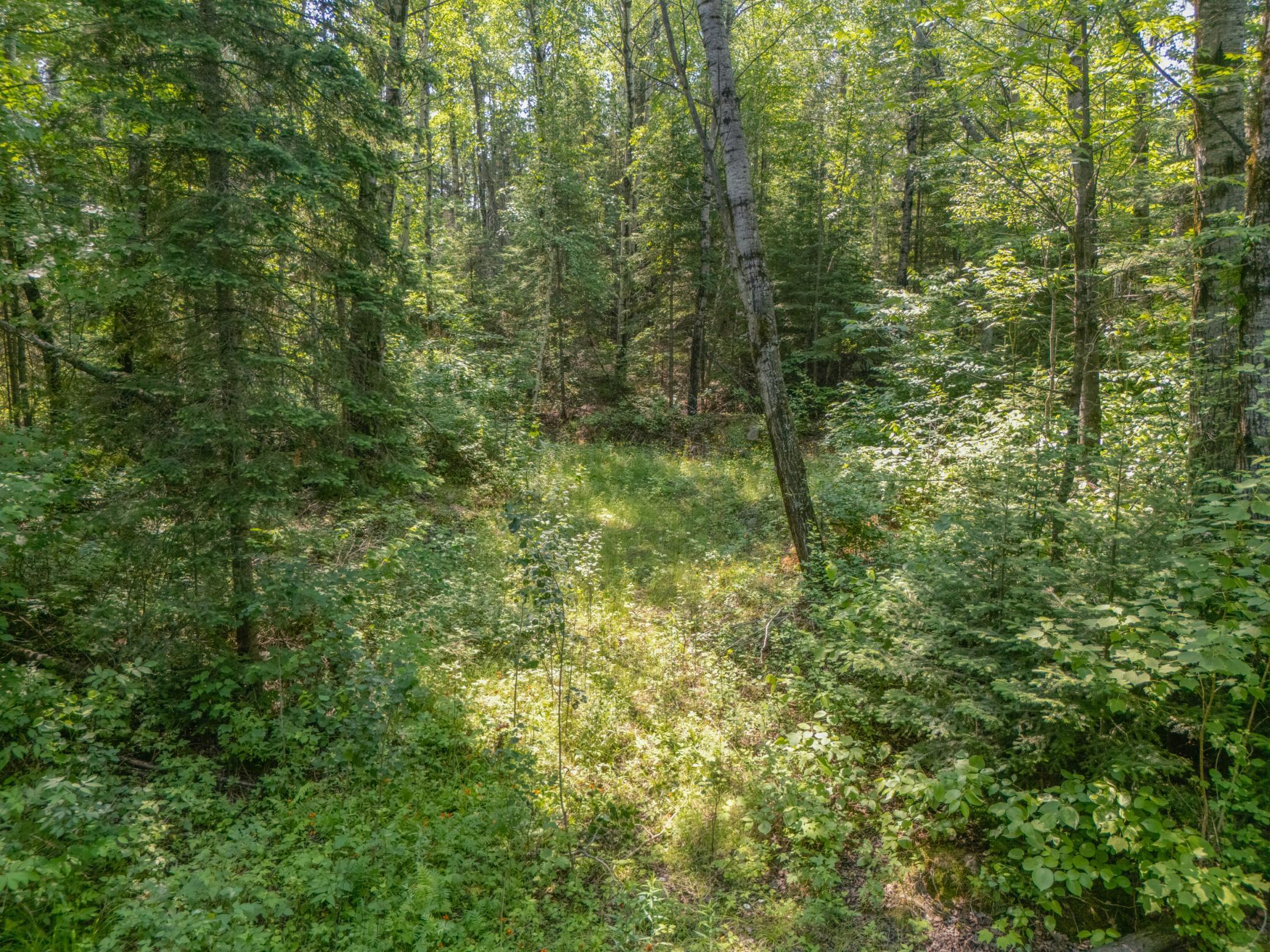 Tbd County Road 308 Property Photo 8