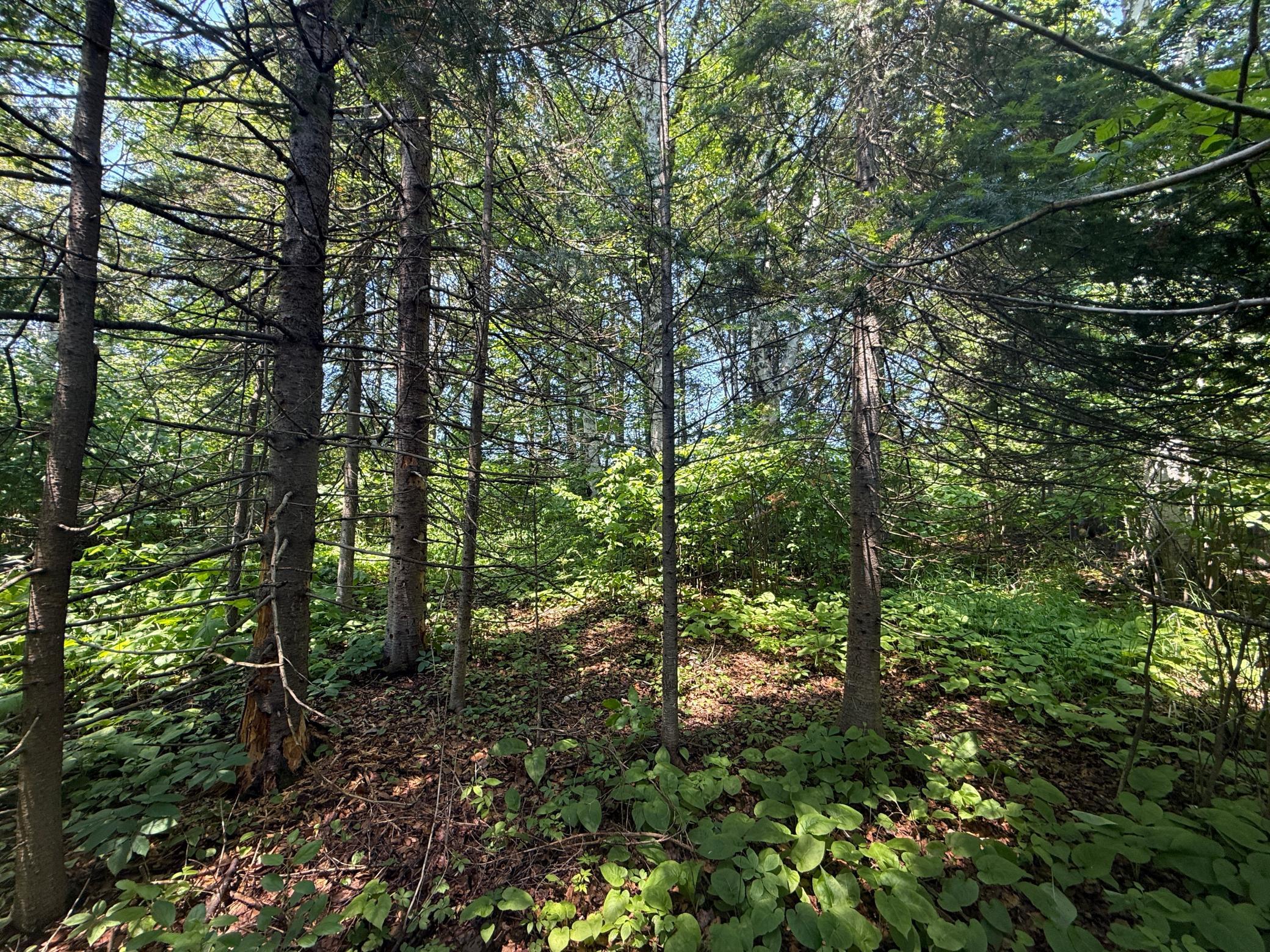 Tbd Scenic Dr. Property Photo 9