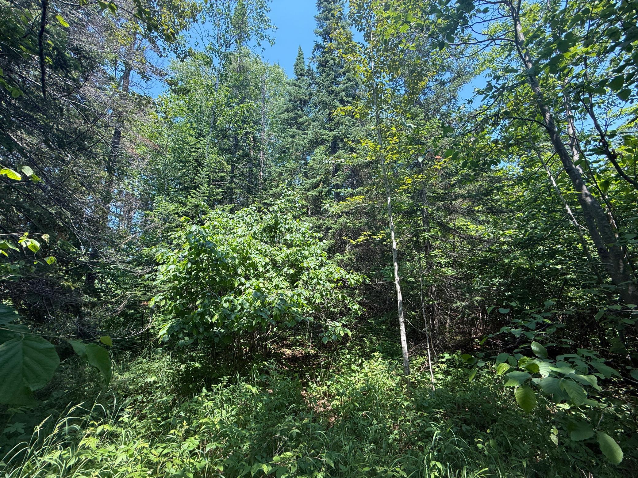 Tbd Scenic Dr. Property Photo 15