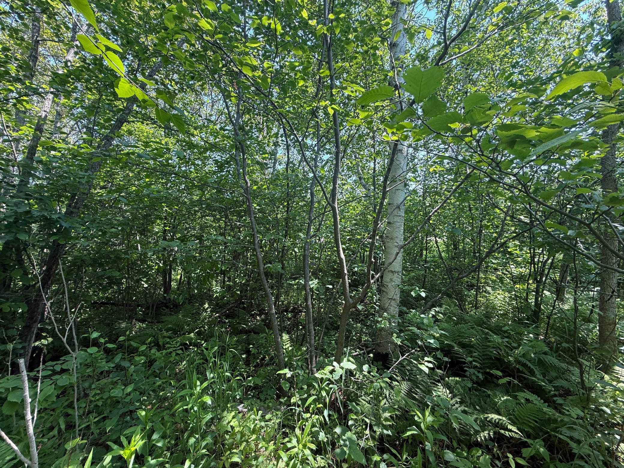 Tbd Scenic Dr. Property Photo 20