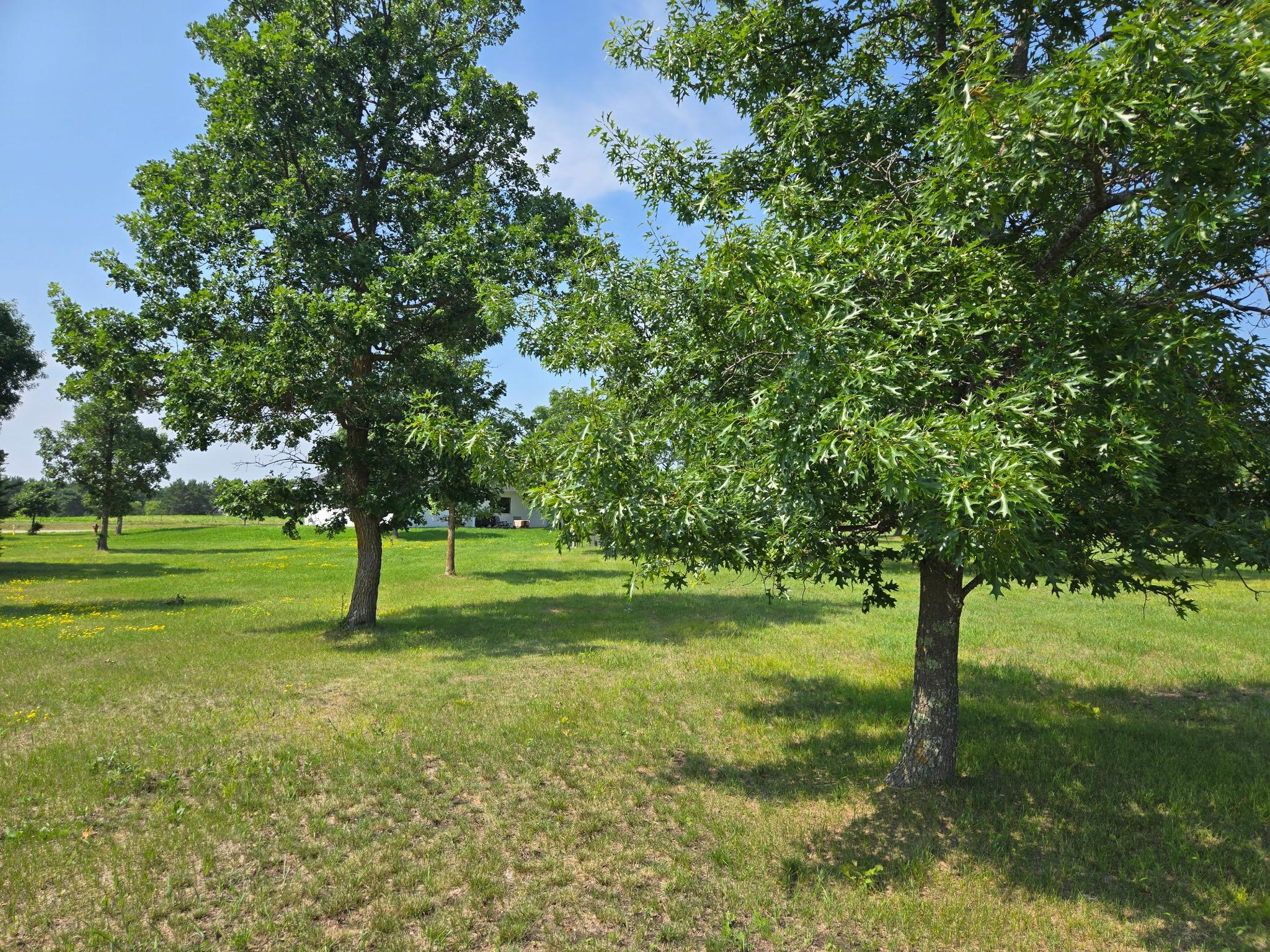 Tbd Walnut Ln Property Photo 3