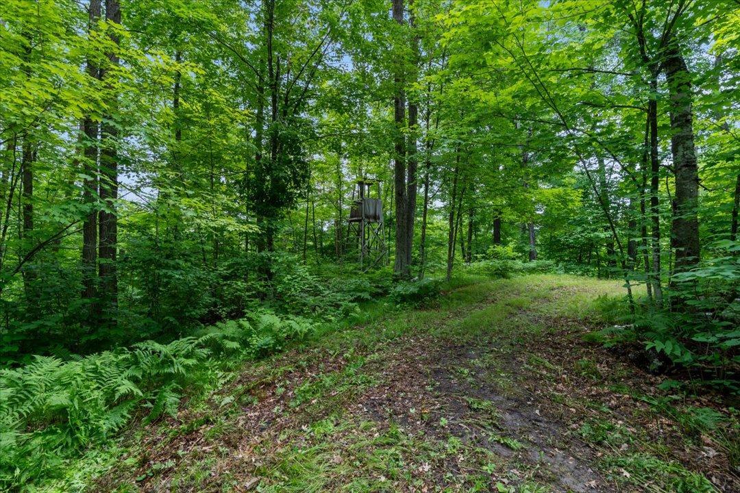 4604 State 371 Nw Property Photo 38
