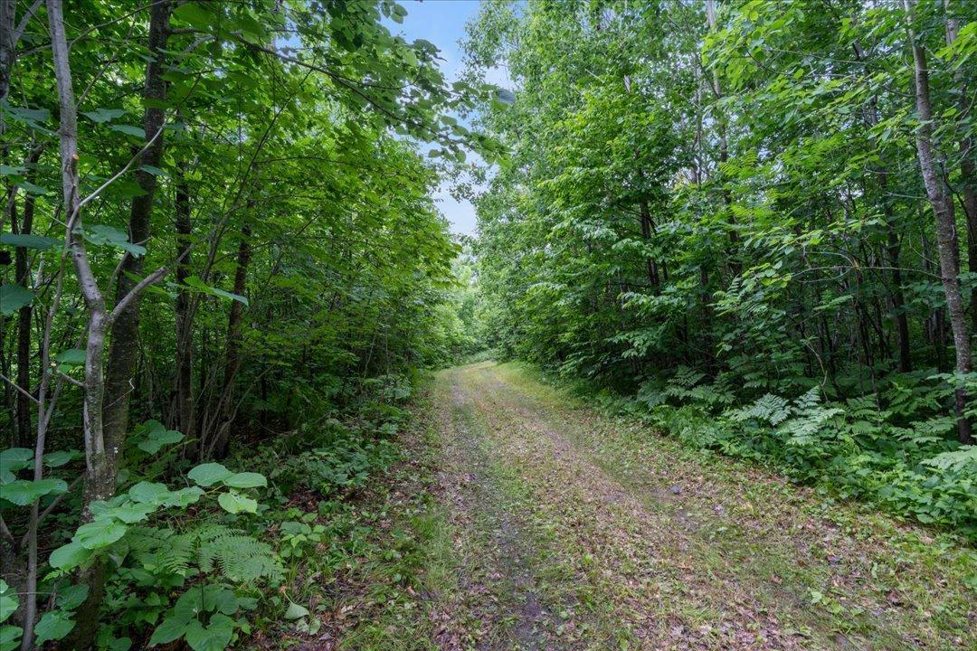 4604 State 371 Nw Property Photo 39