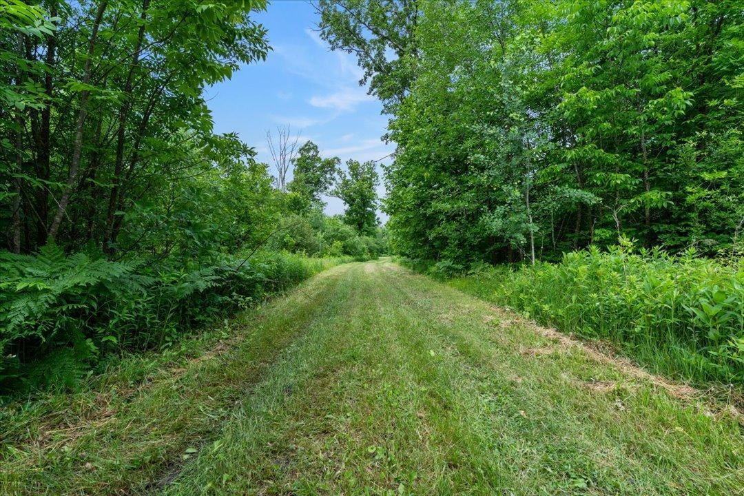 4604 State 371 Nw Property Photo 41